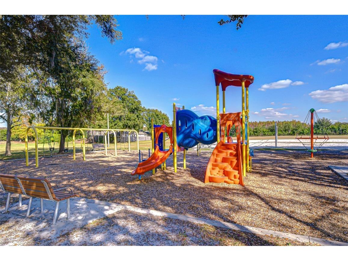 19414 Morden Blush Drive Lutz FL 33558 TB8449696 image38