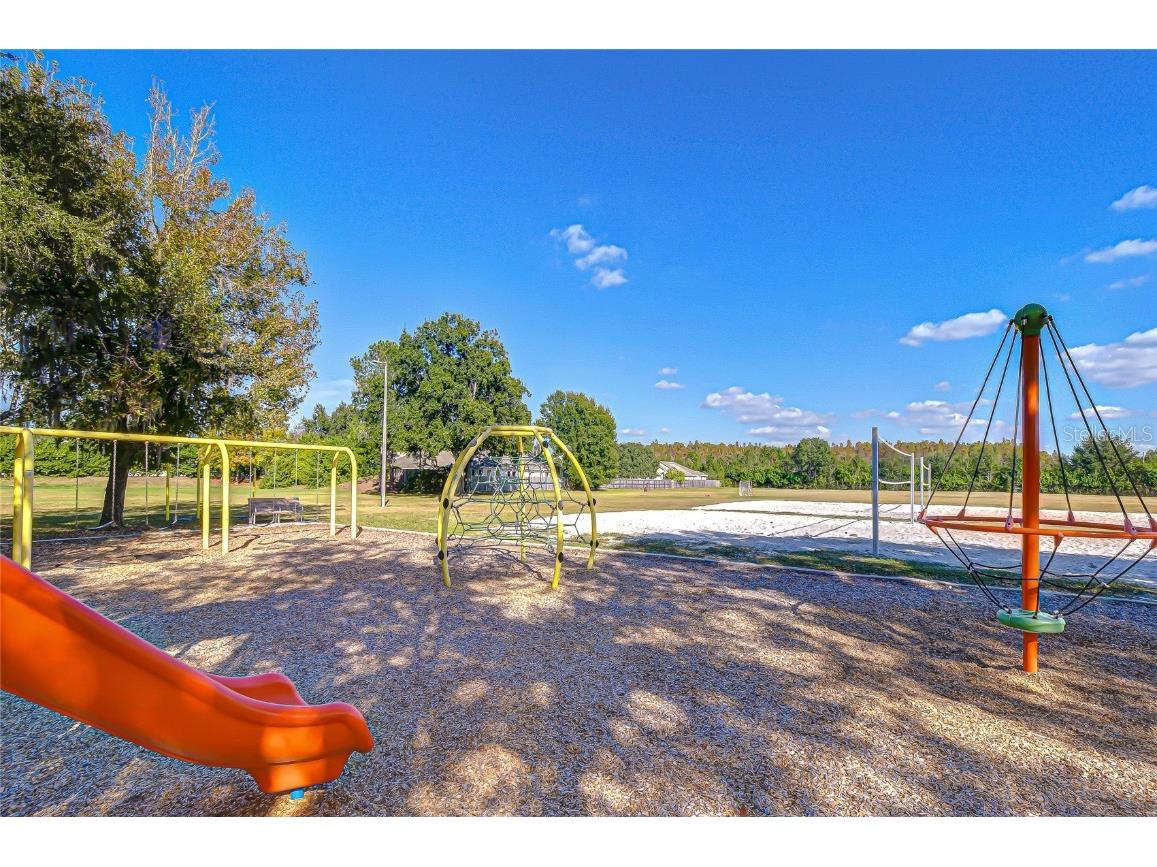 19414 Morden Blush Drive Lutz FL 33558 TB8449696 image39