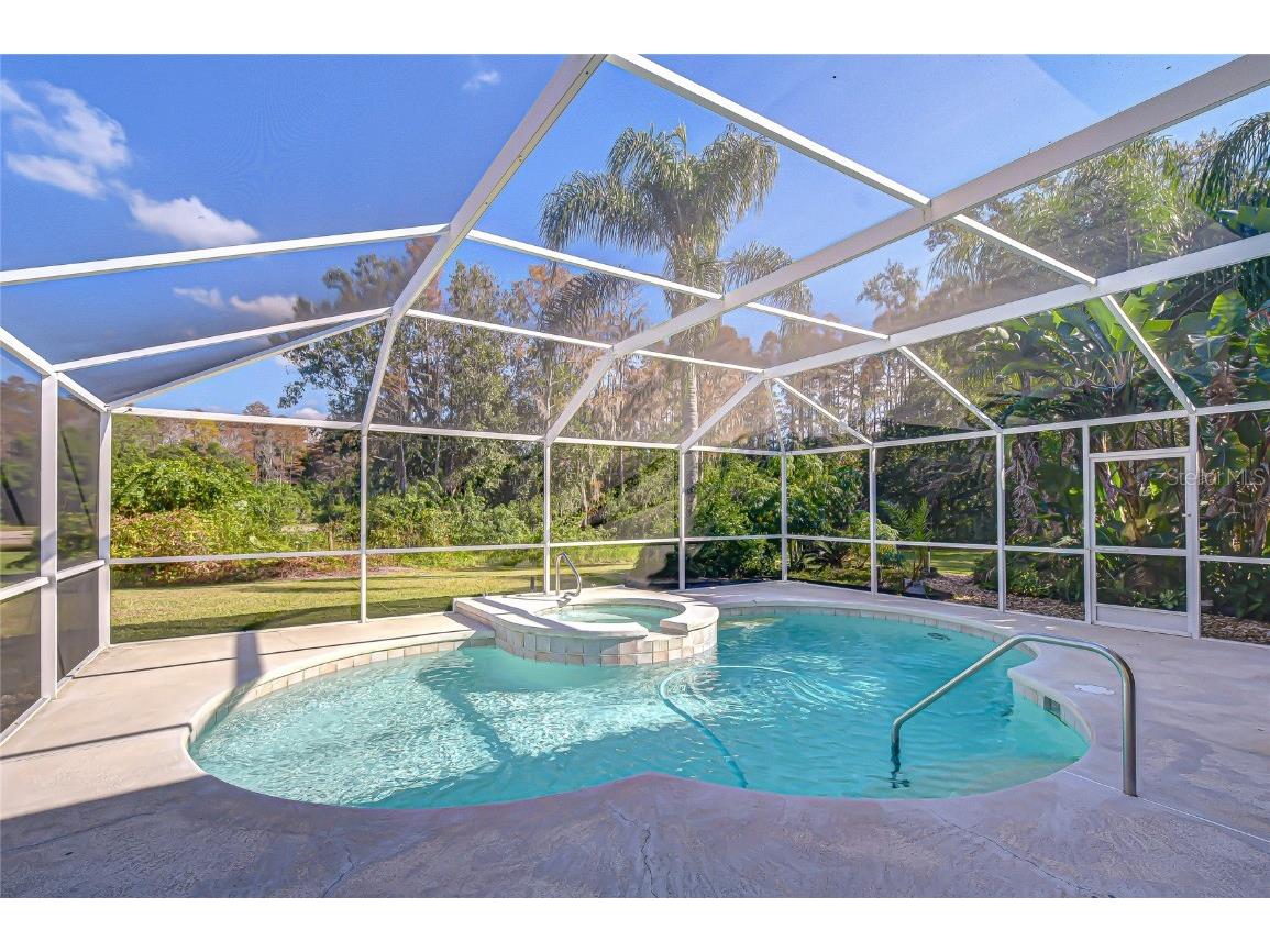 19414 Morden Blush Drive Lutz FL 33558 TB8449696 image4