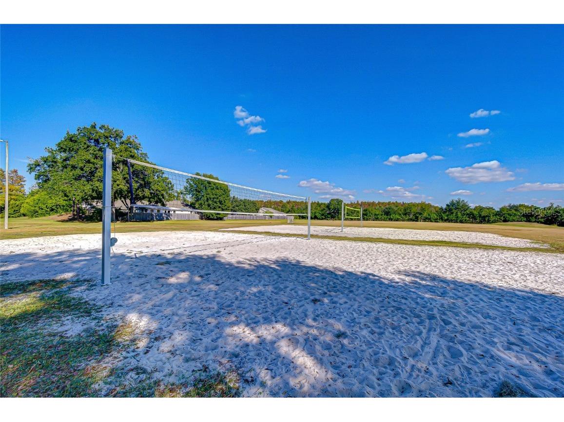 19414 Morden Blush Drive Lutz FL 33558 TB8449696 image40