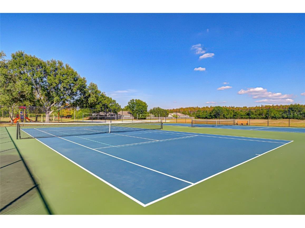 19414 Morden Blush Drive Lutz FL 33558 TB8449696 image41