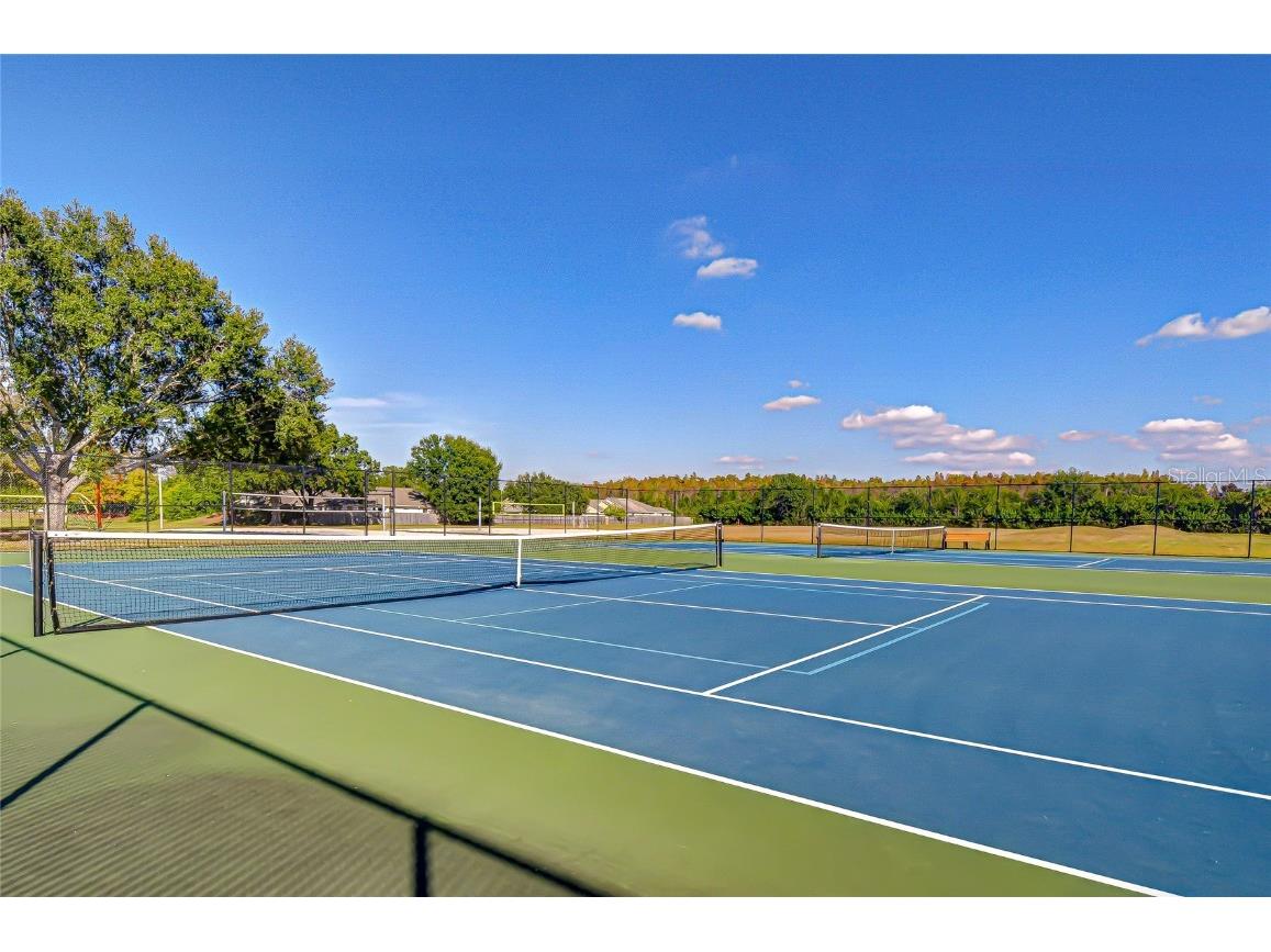 19414 Morden Blush Drive Lutz FL 33558 TB8449696 image42