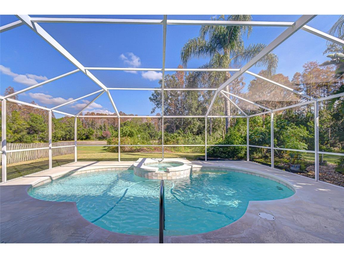 19414 Morden Blush Drive Lutz FL 33558 TB8449696 image5