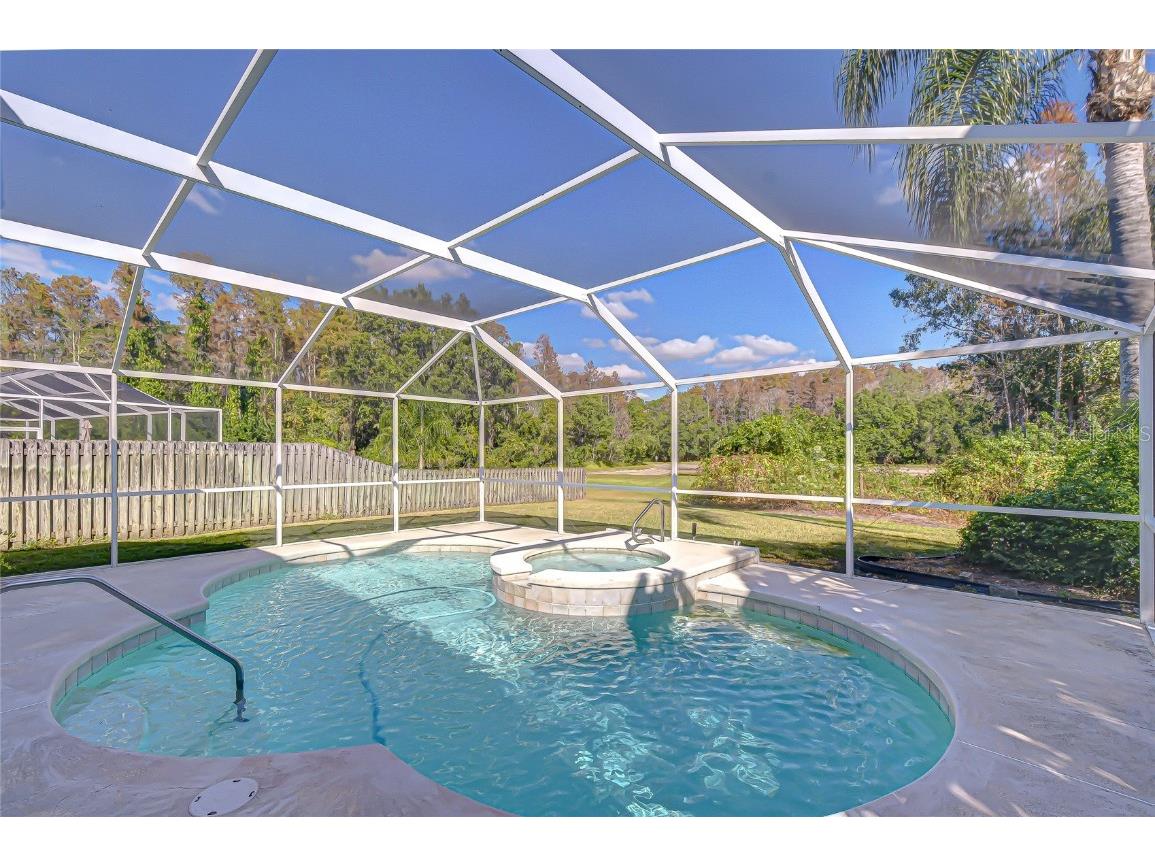 19414 Morden Blush Drive Lutz FL 33558 TB8449696 image6