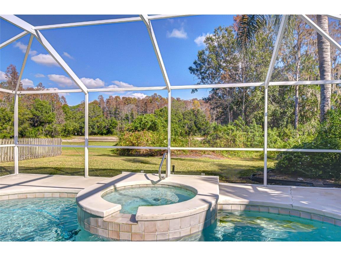 19414 Morden Blush Drive Lutz FL 33558 TB8449696 image8