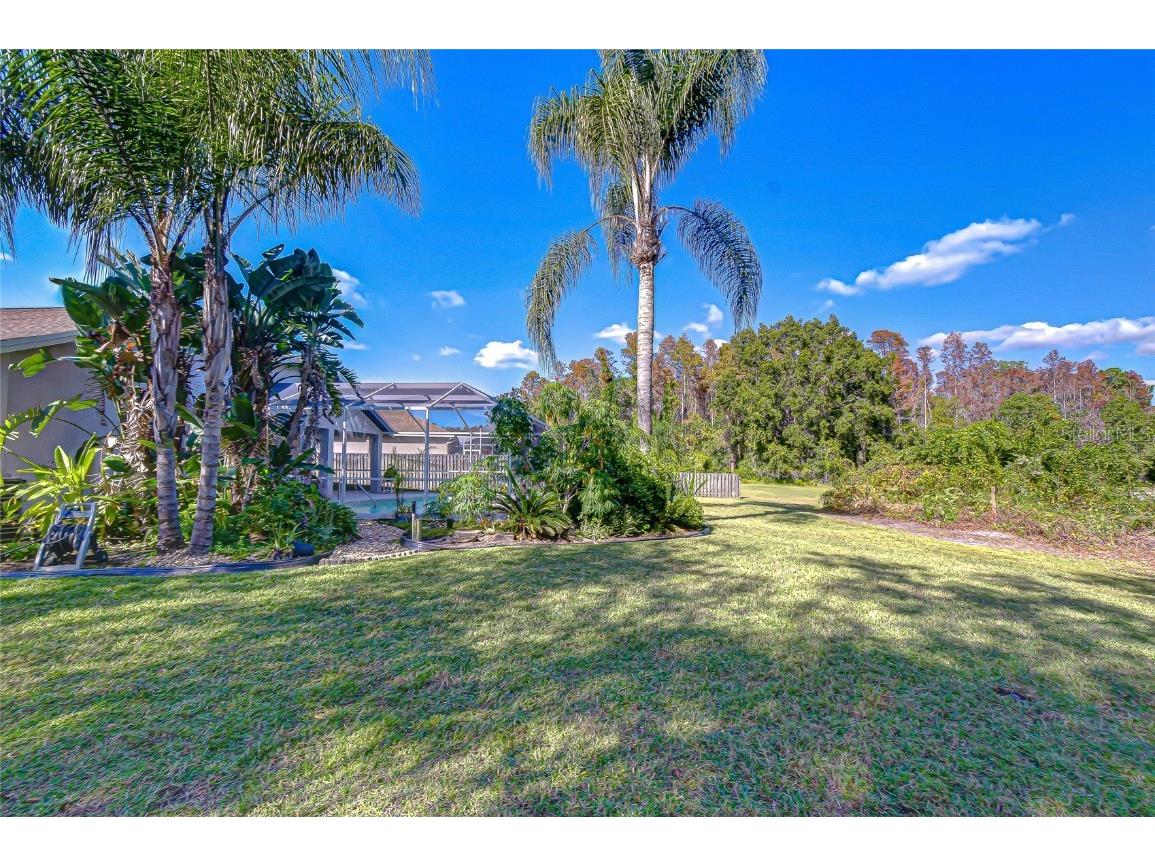 19414 Morden Blush Drive Lutz FL 33558 TB8449696 image9