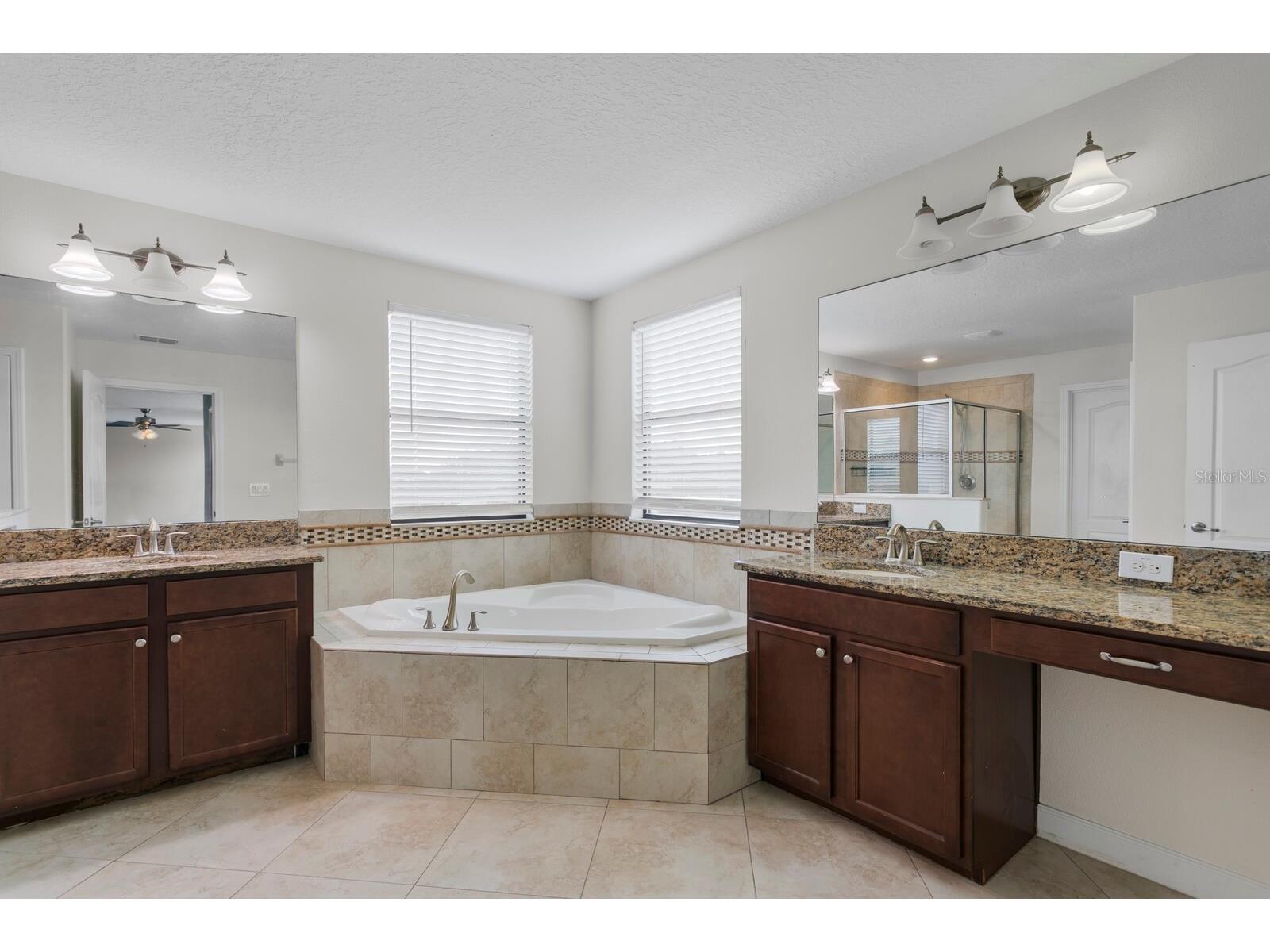 19415 Paddock View Drive Tampa FL 33647 TB8462062 image22