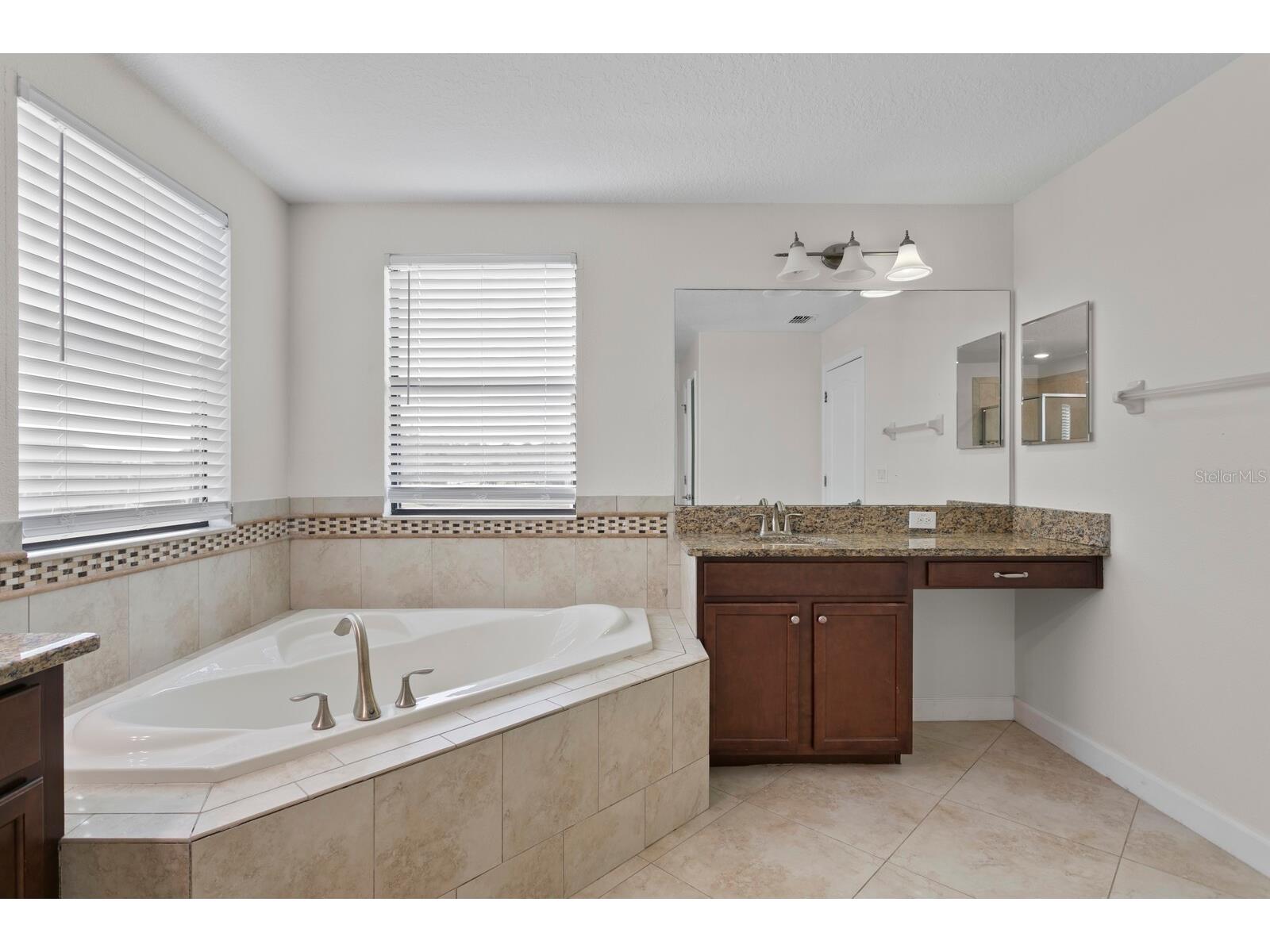 19415 Paddock View Drive Tampa FL 33647 TB8462062 image23