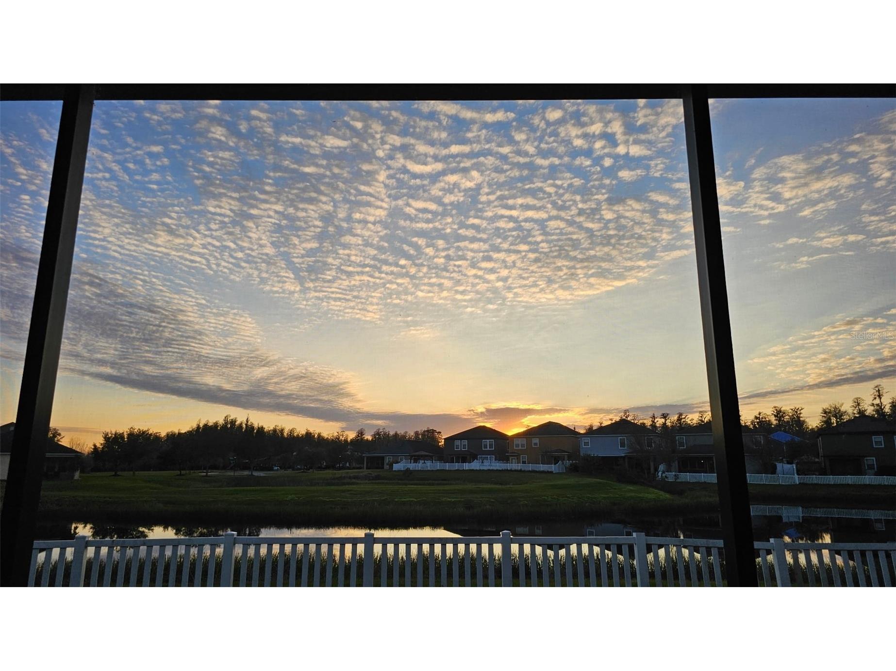 19415 Paddock View Drive Tampa FL 33647 TB8462062 image45