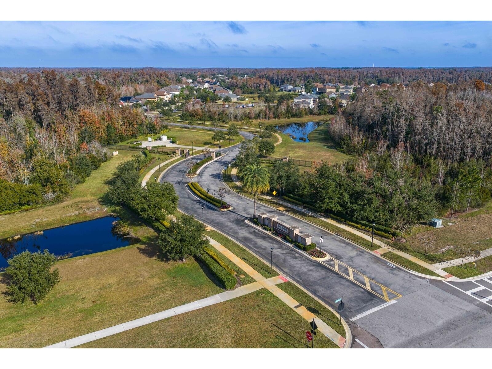 19415 Paddock View Drive Tampa FL 33647 TB8462062 image46