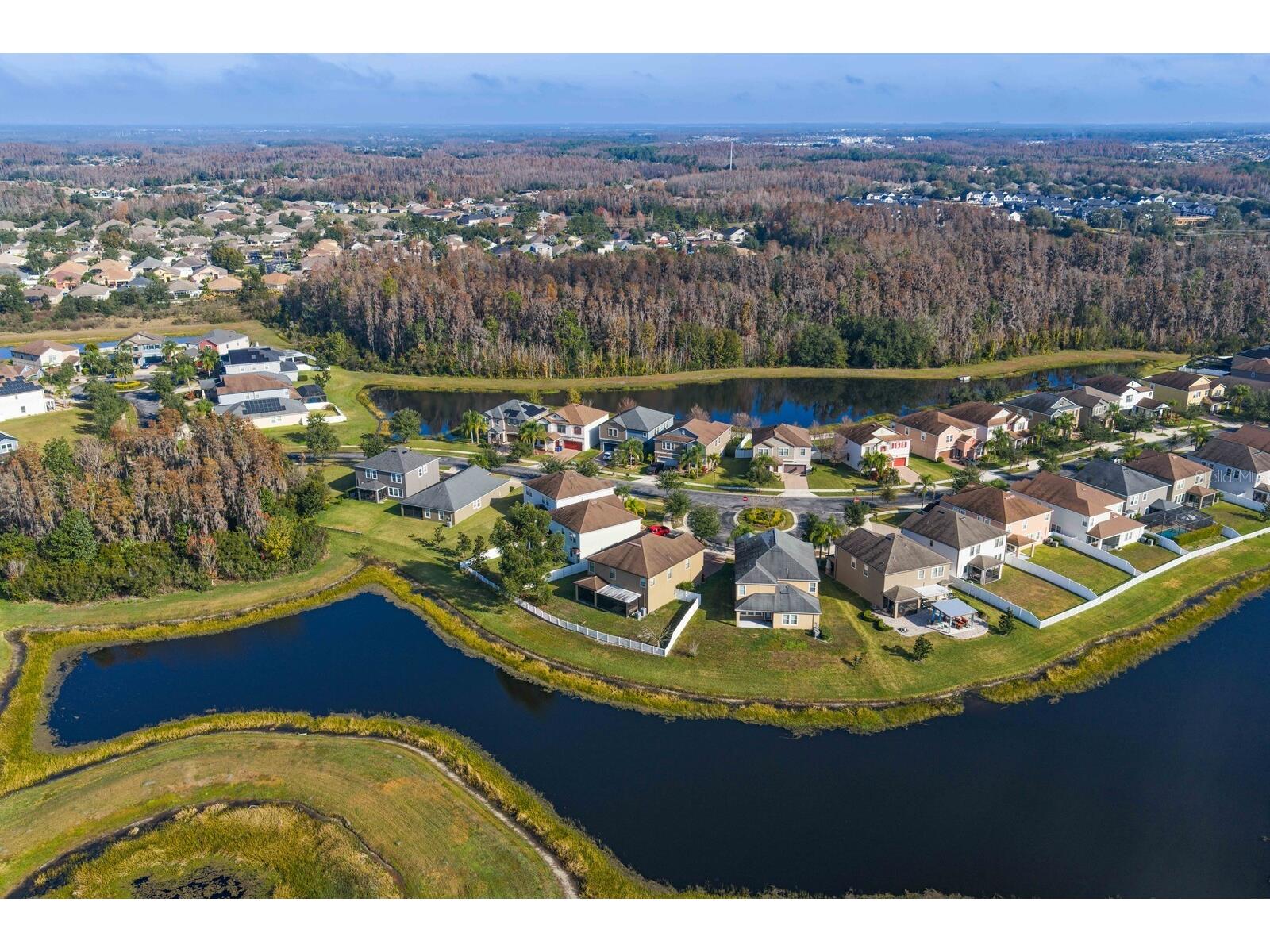 19415 Paddock View Drive Tampa FL 33647 TB8462062 image49