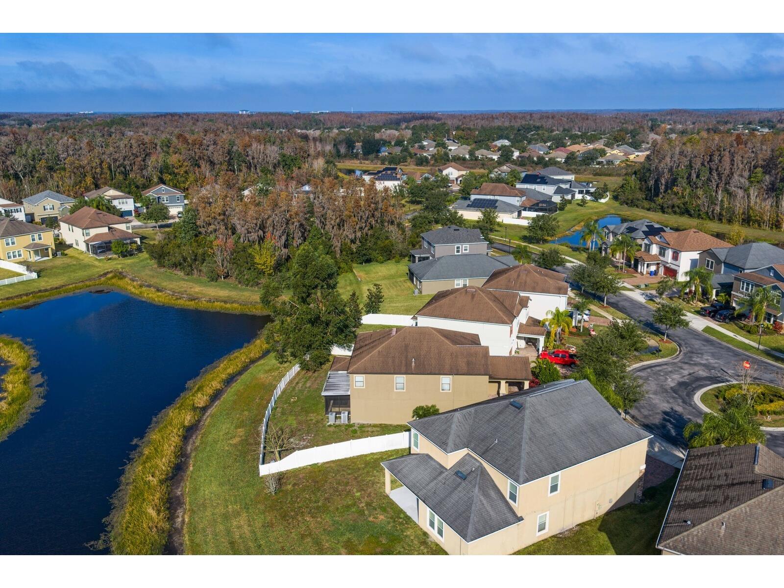 19415 Paddock View Drive Tampa FL 33647 TB8462062 image50