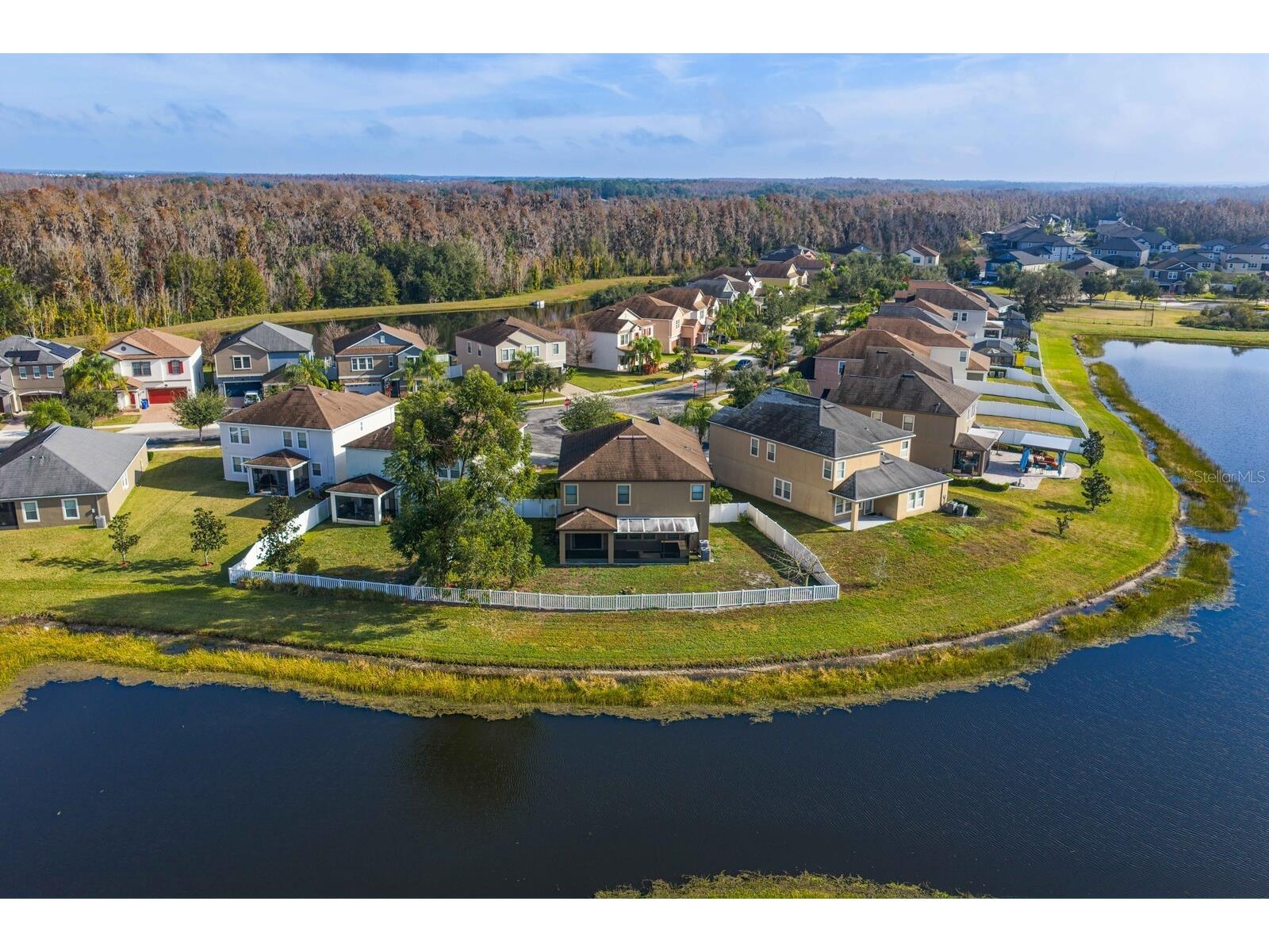 19415 Paddock View Drive Tampa FL 33647 TB8462062 image53