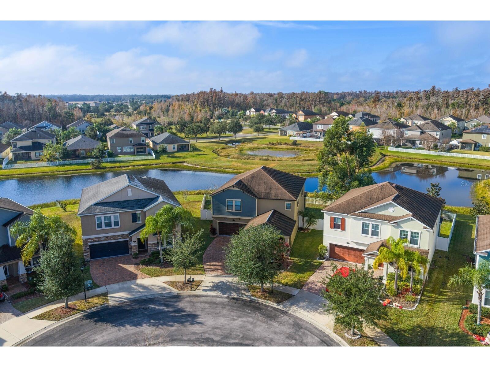 19415 Paddock View Drive Tampa FL 33647 TB8462062 image55