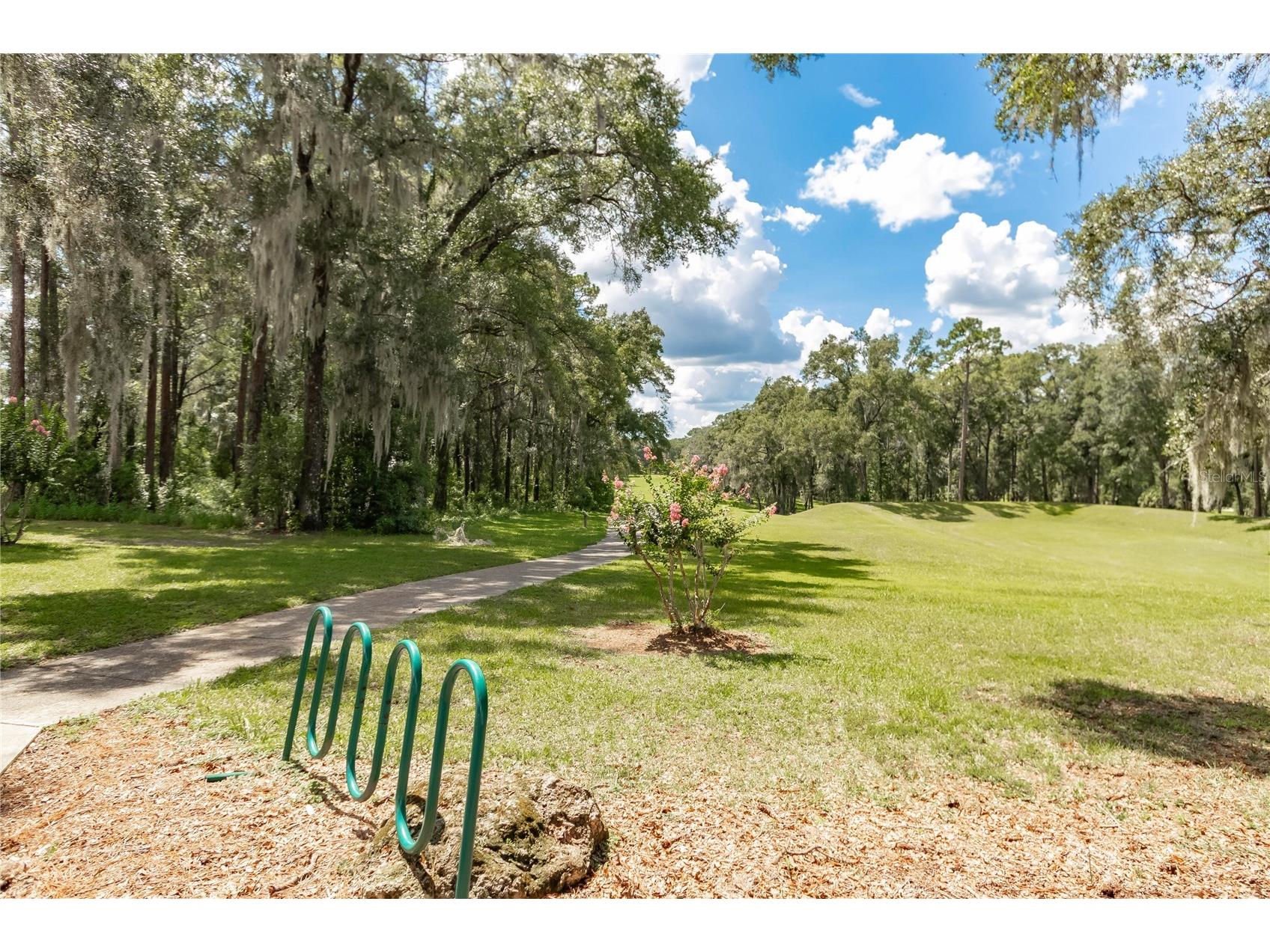 19416 SW 98th Place Road Dunnellon FL 34432 O6367484 image45