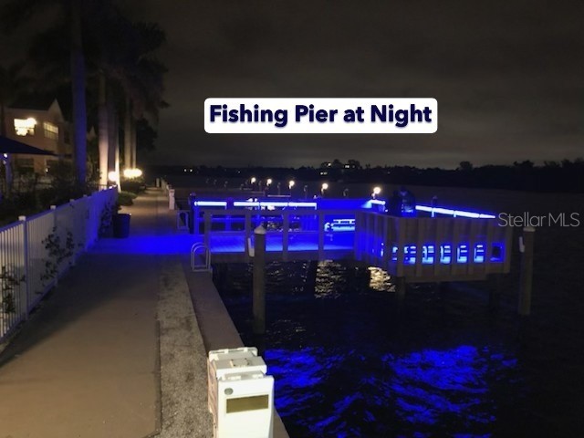 19417 Gulf Boulevard #A-113 Indian Shores FL 33785 TB8504446 image40