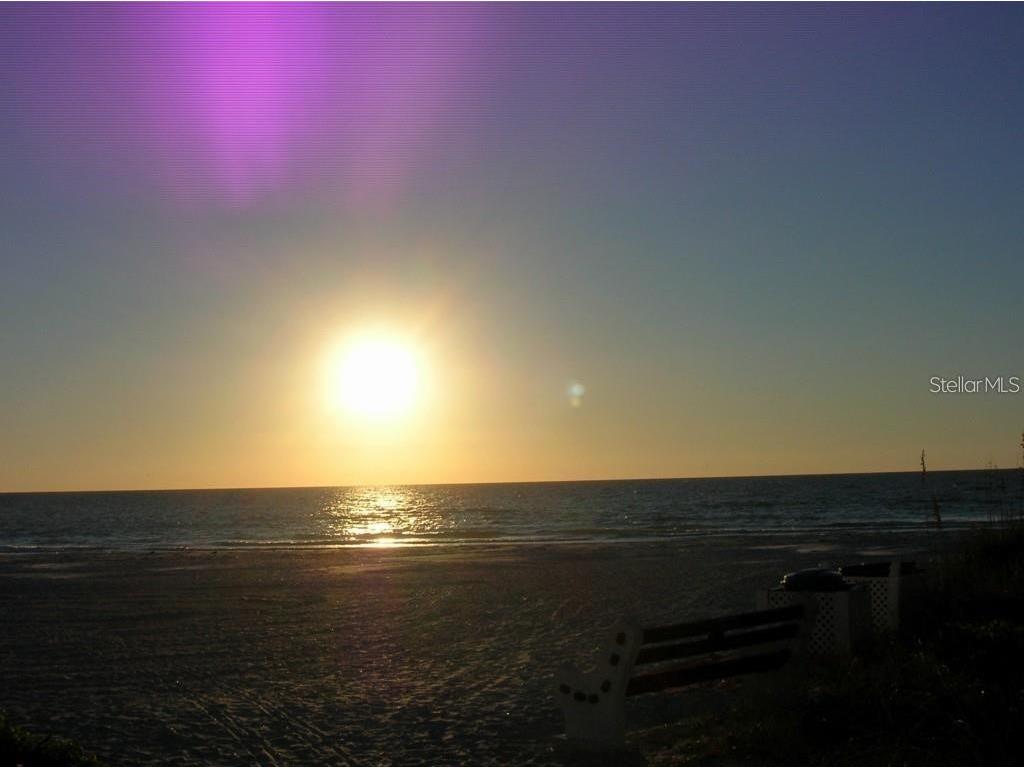 19417 Gulf Boulevard #A-113 Indian Shores FL 33785 TB8504446 image46