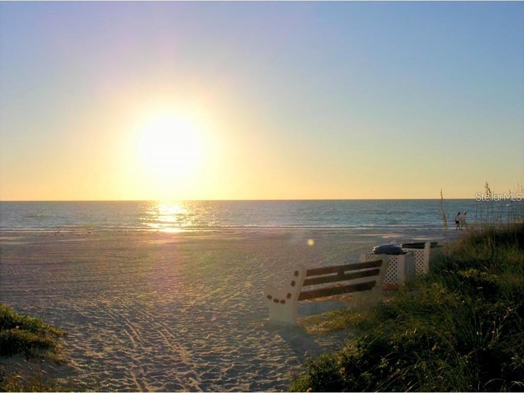 19417 Gulf Boulevard #A-113 Indian Shores FL 33785 TB8504446 image7