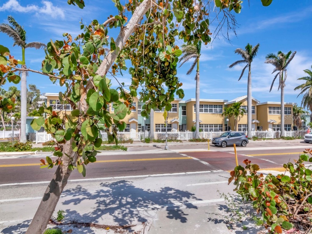 19417 Gulf Boulevard #B205 Indian Shores FL 33785 TB8345994 image3