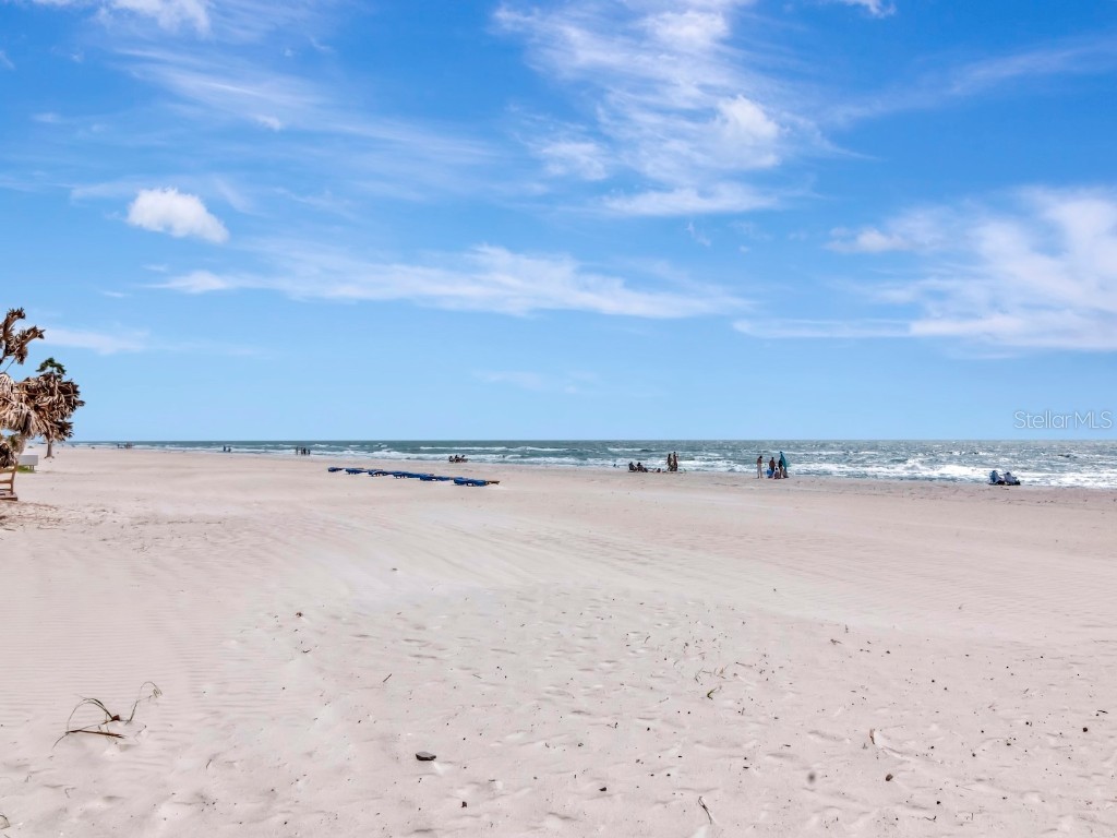 19417 Gulf Boulevard #B205 Indian Shores FL 33785 TB8345994 image41