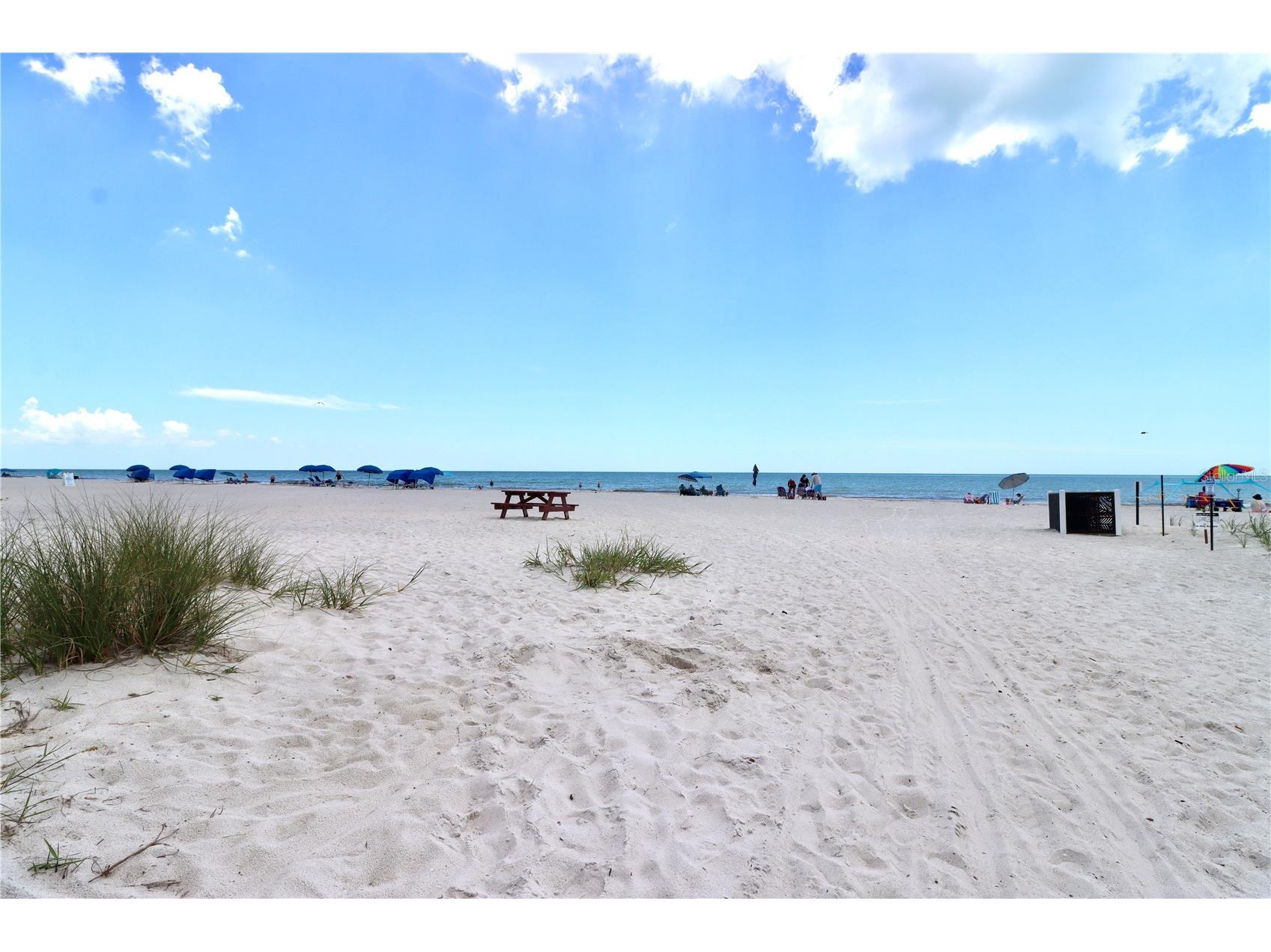 19417 Gulf Boulevard #D201 Indian Rocks Beach FL 33785 TB8510517 image39