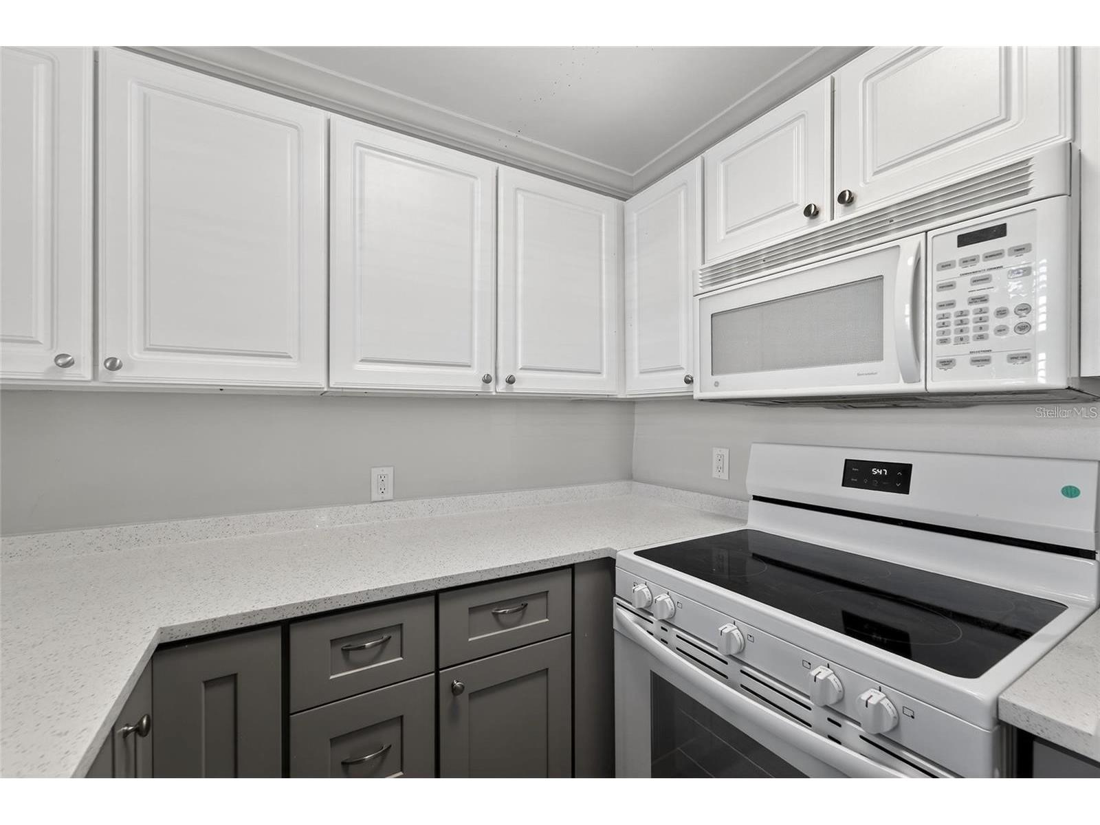 19417 Gulf Boulevard #F110 Indian Rocks Beach FL 33785 TB8516546 image15