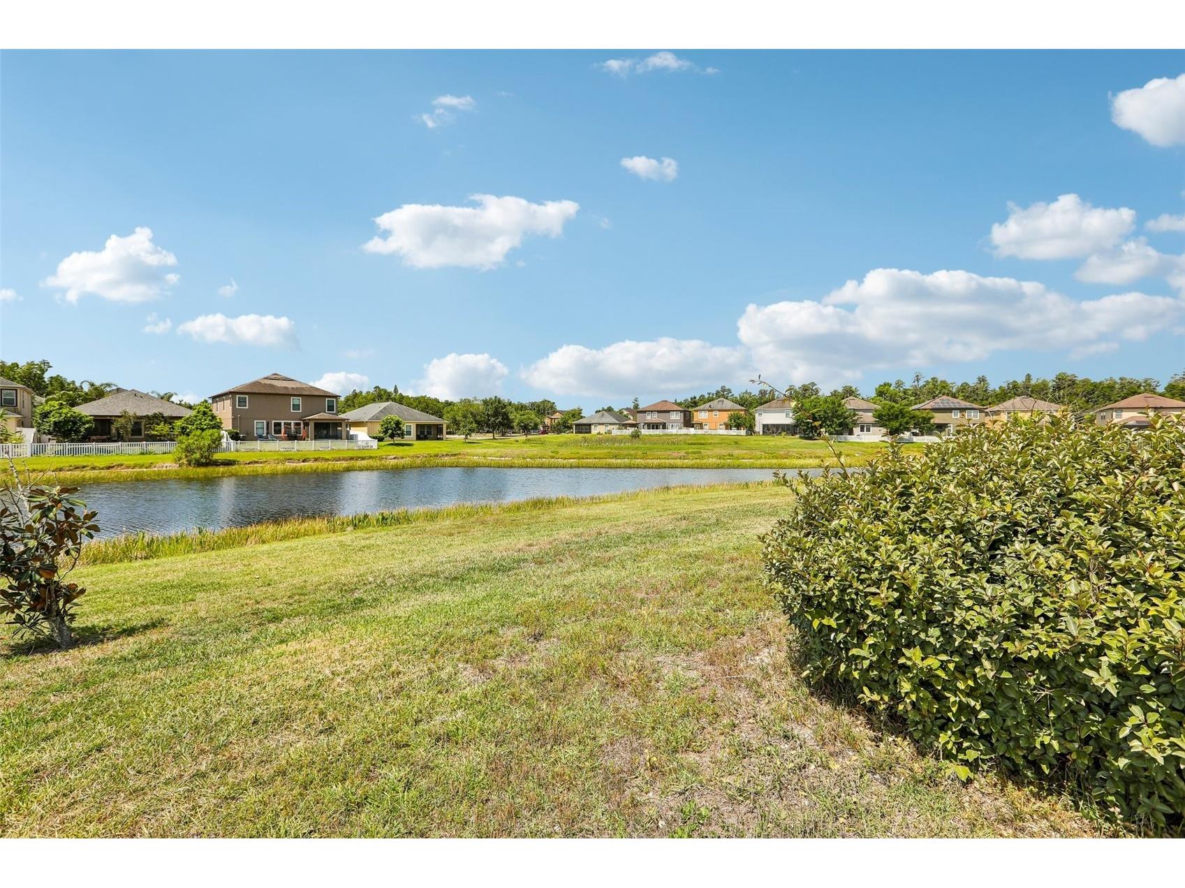 19417 Paddock View Drive Tampa FL 33647 TB8496889 image45