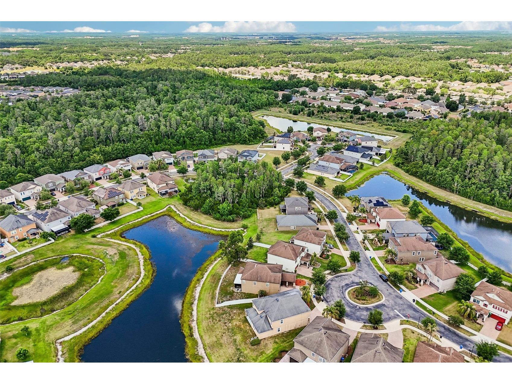 19417 Paddock View Drive Tampa FL 33647 TB8496889 image50