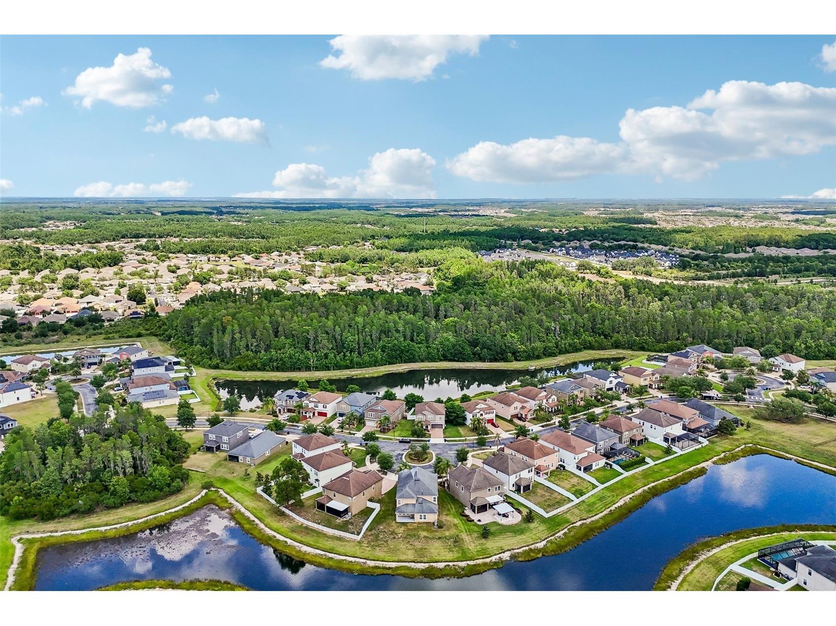 19417 Paddock View Drive Tampa FL 33647 TB8496889 image53
