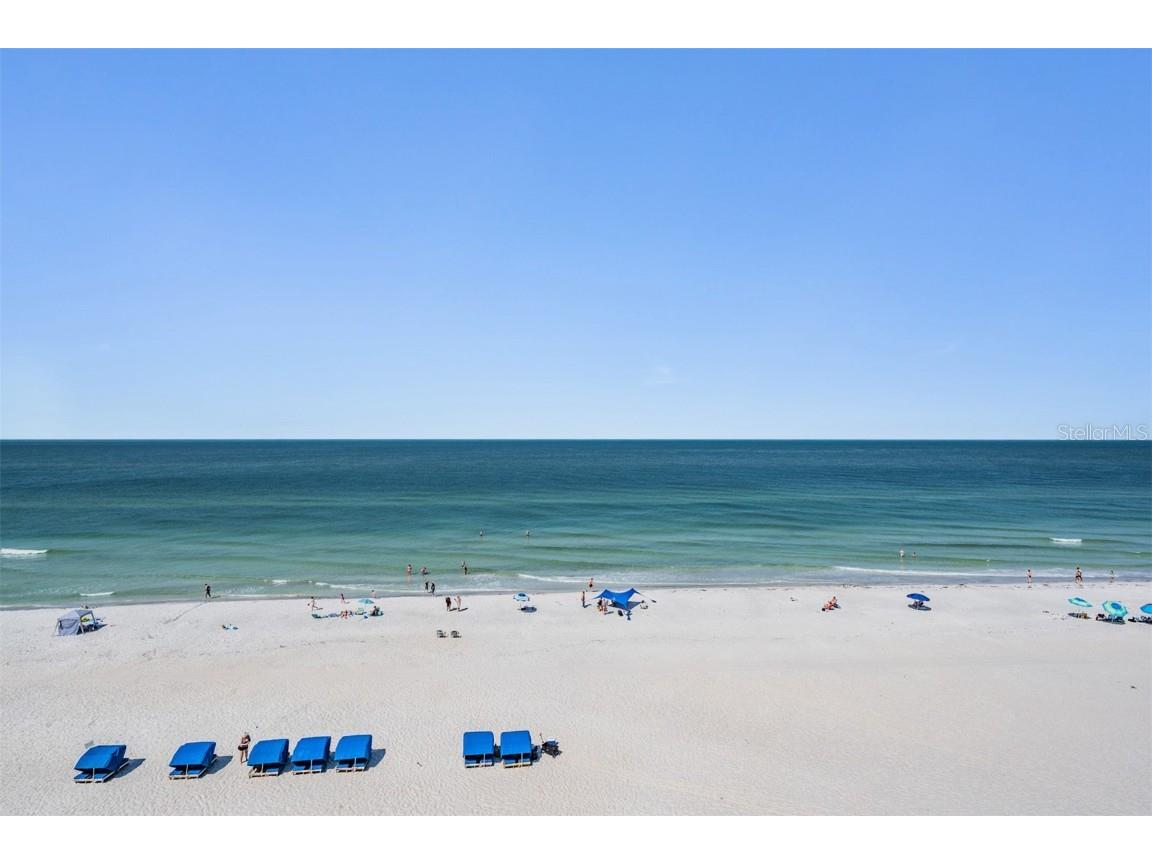 19418 Gulf Blvd #507 Indian Shores FL 33785 TB8376233 image1