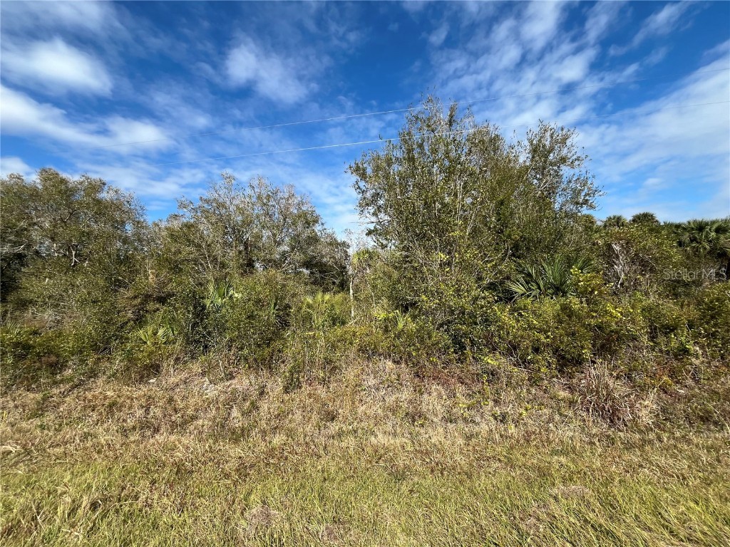 19419 NW 298th Street Okeechobee FL 34972 OK224757 image1