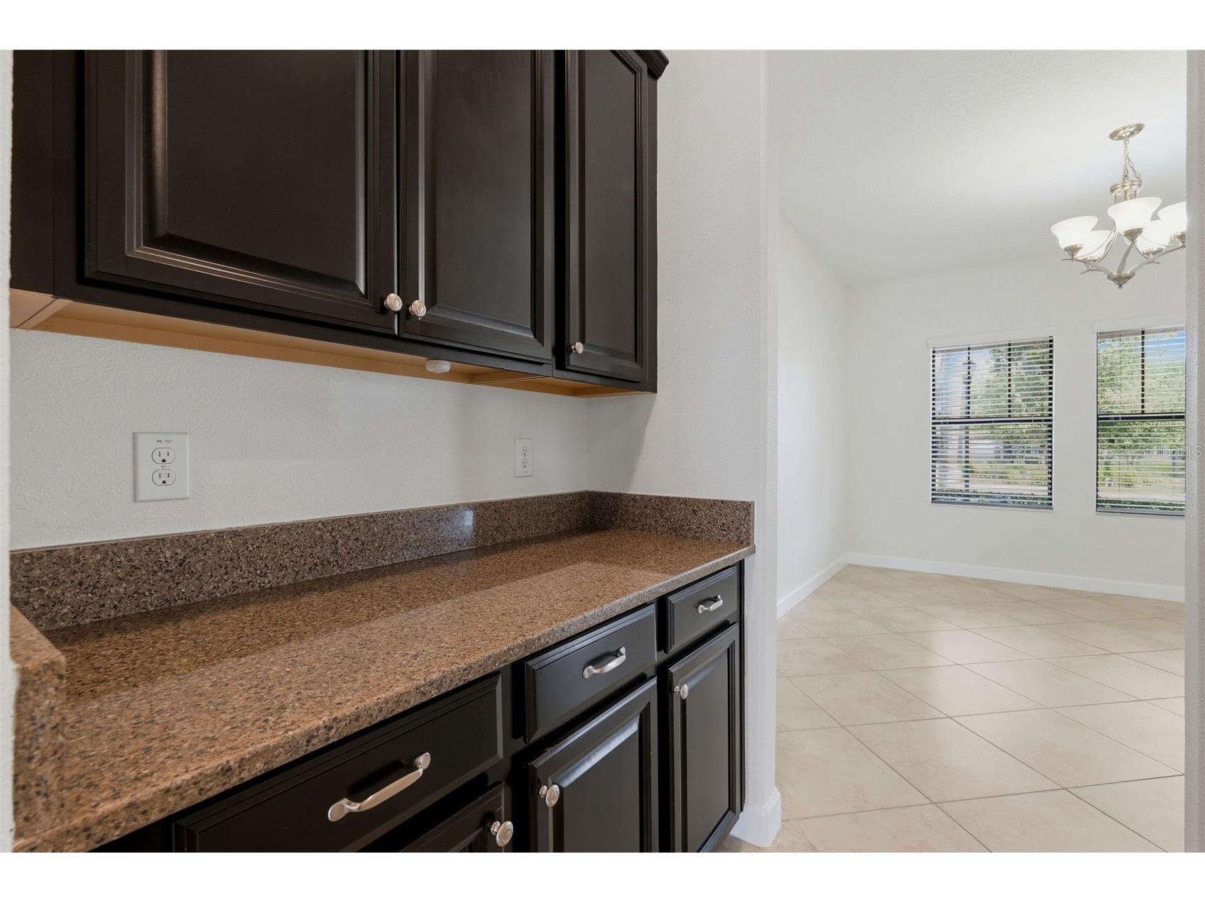 19419 Paddock View Drive Tampa FL 33647 TB8503200 image15
