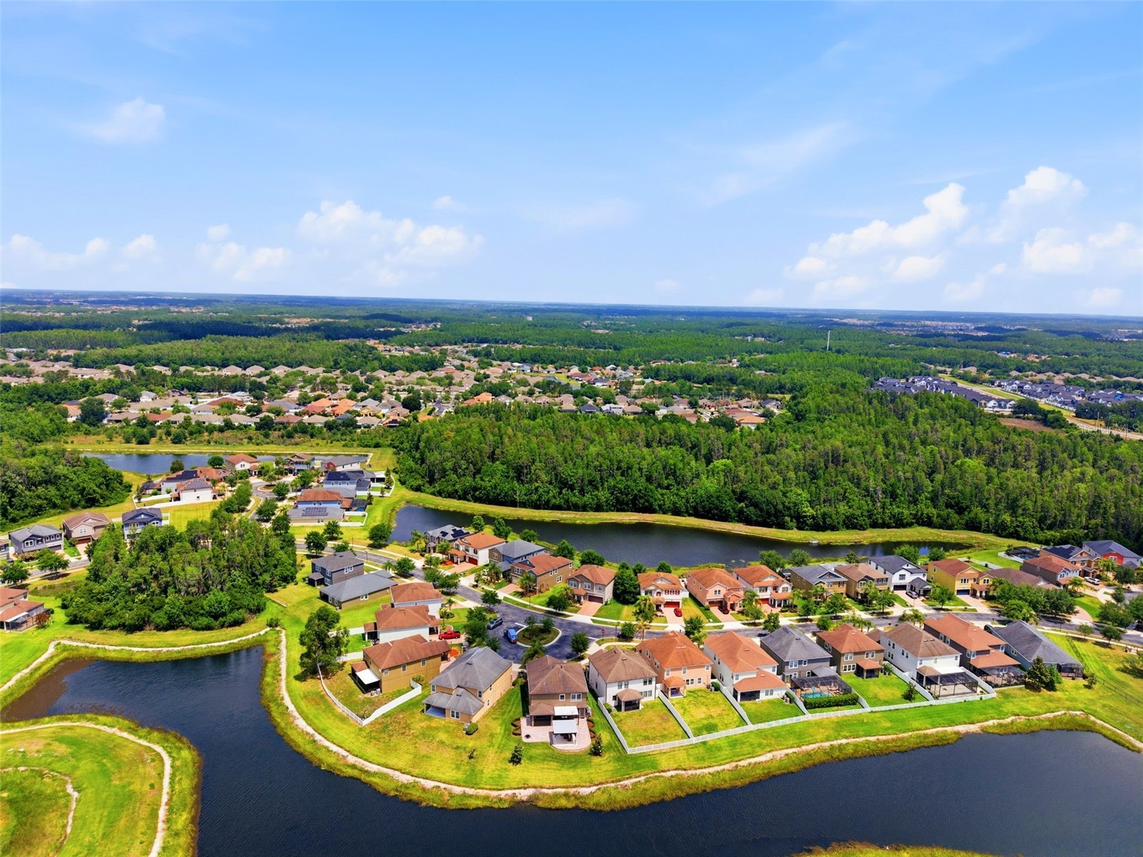 19419 Paddock View Drive Tampa FL 33647 TB8503200 image3