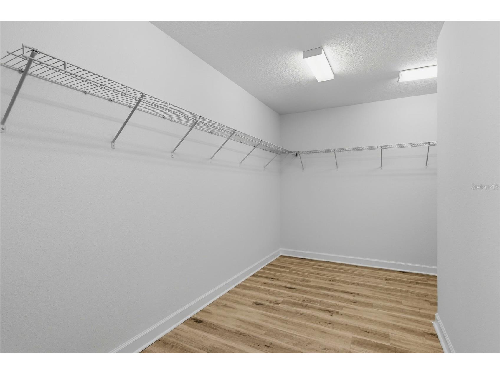 19419 Paddock View Drive Tampa FL 33647 TB8503200 image31