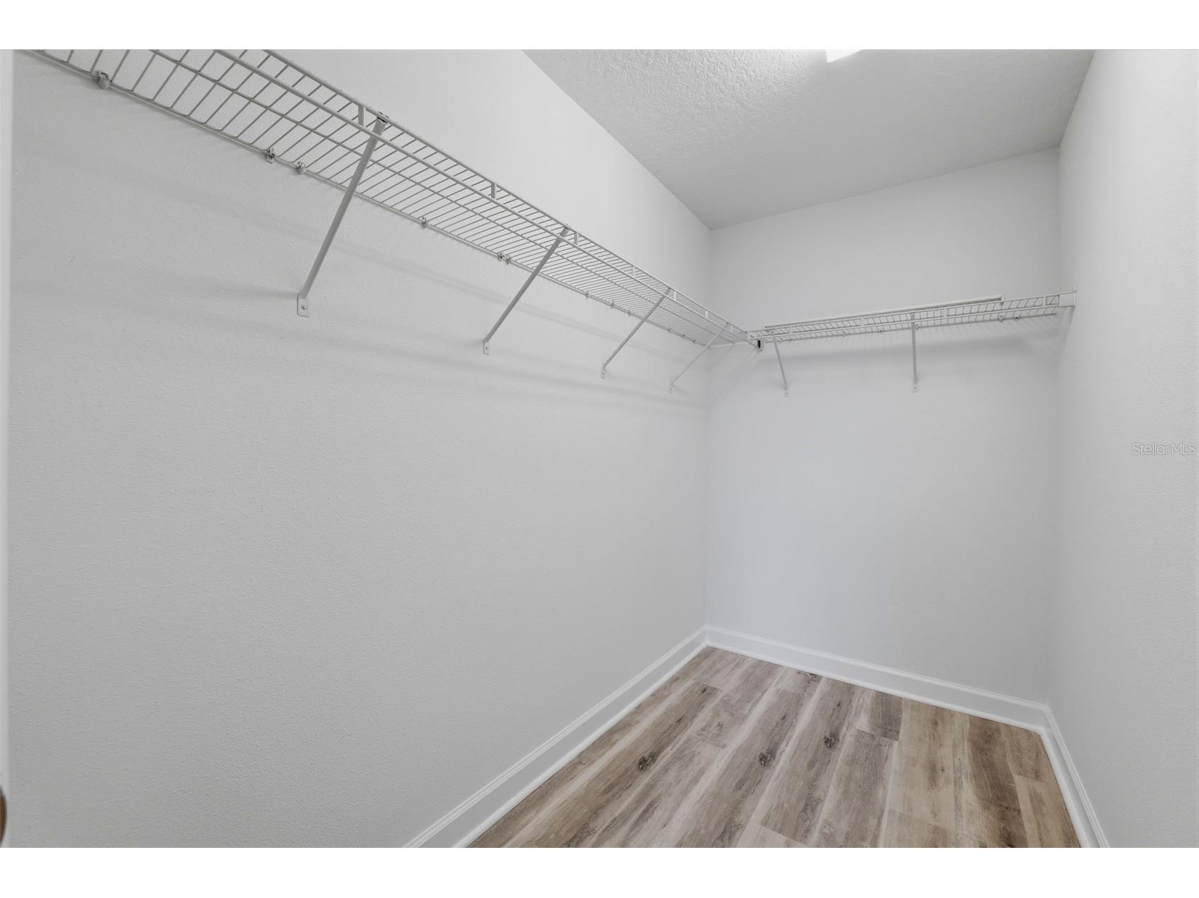 19419 Paddock View Drive Tampa FL 33647 TB8503200 image37