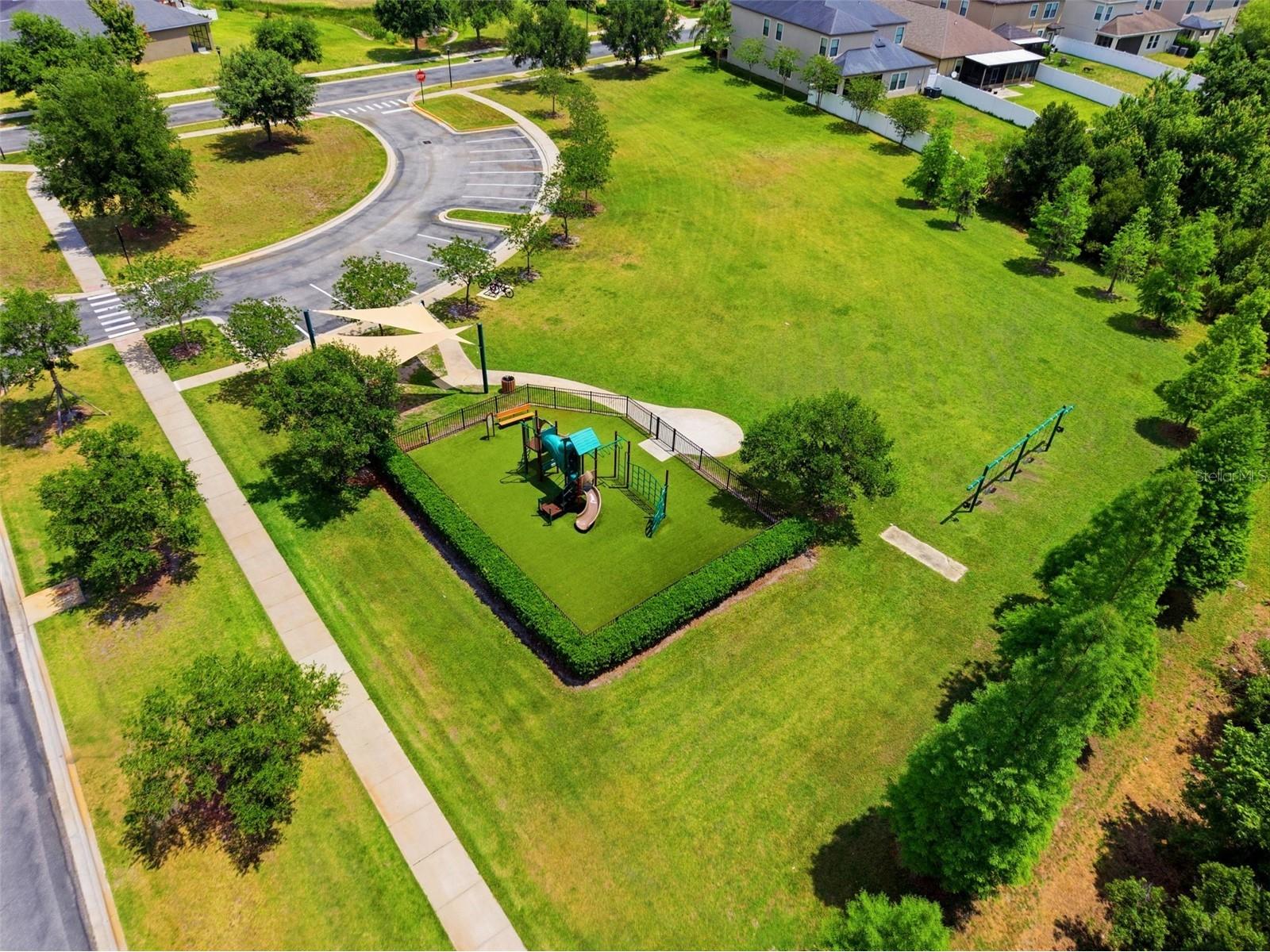 19419 Paddock View Drive Tampa FL 33647 TB8503200 image65