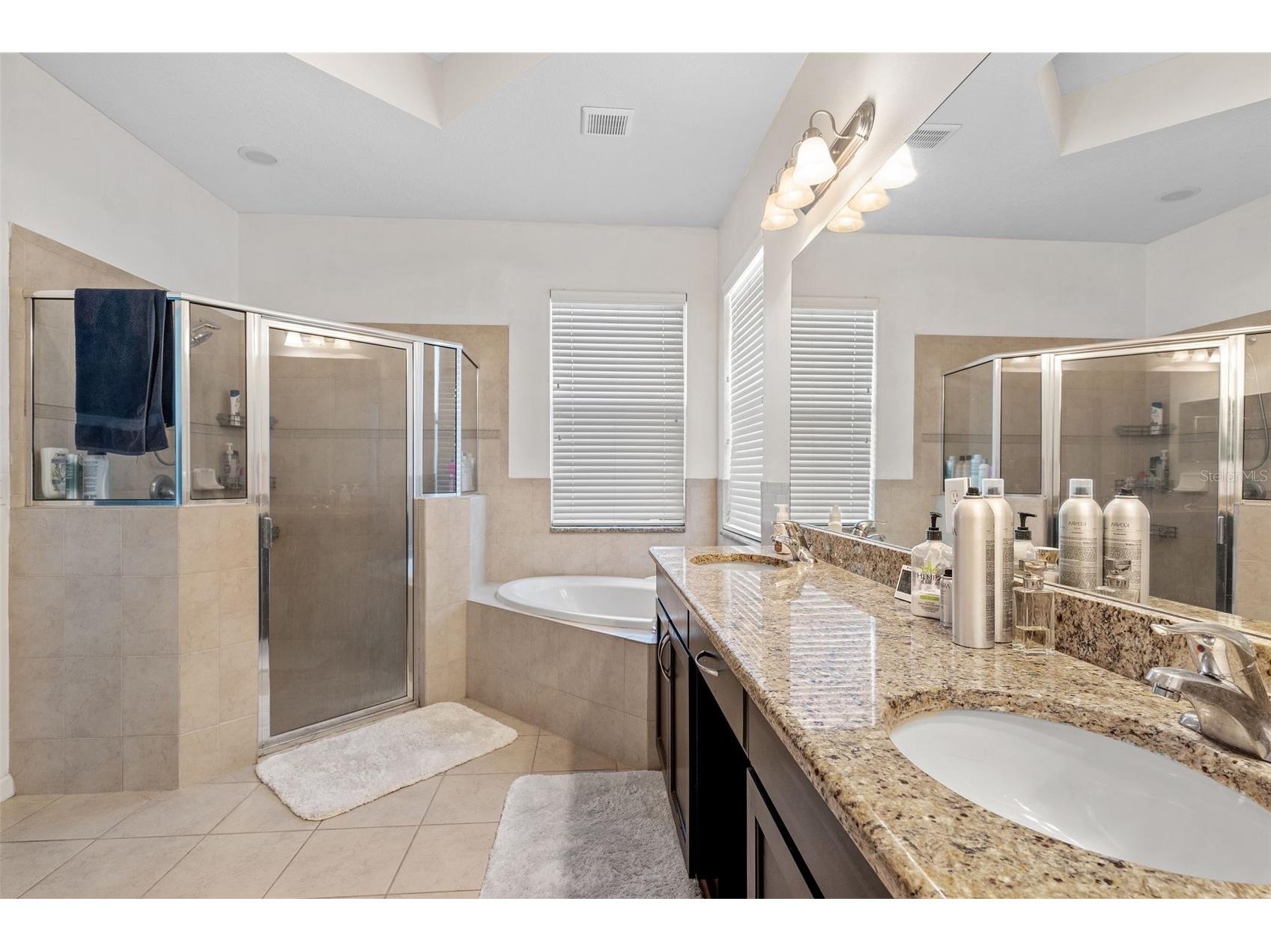19419 Red Sky Court Land O Lakes FL 34638 TB8519865 image27