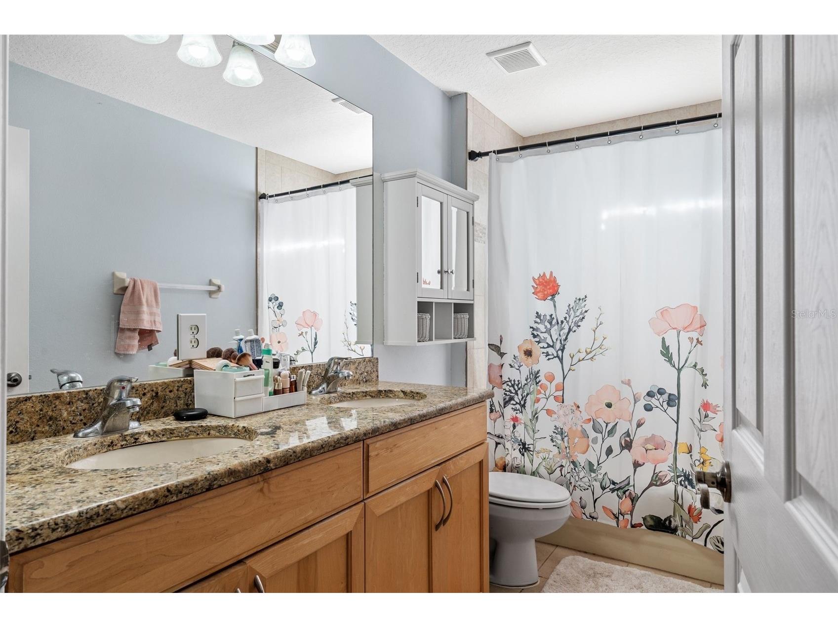 19419 Red Sky Court Land O Lakes FL 34638 TB8519865 image37