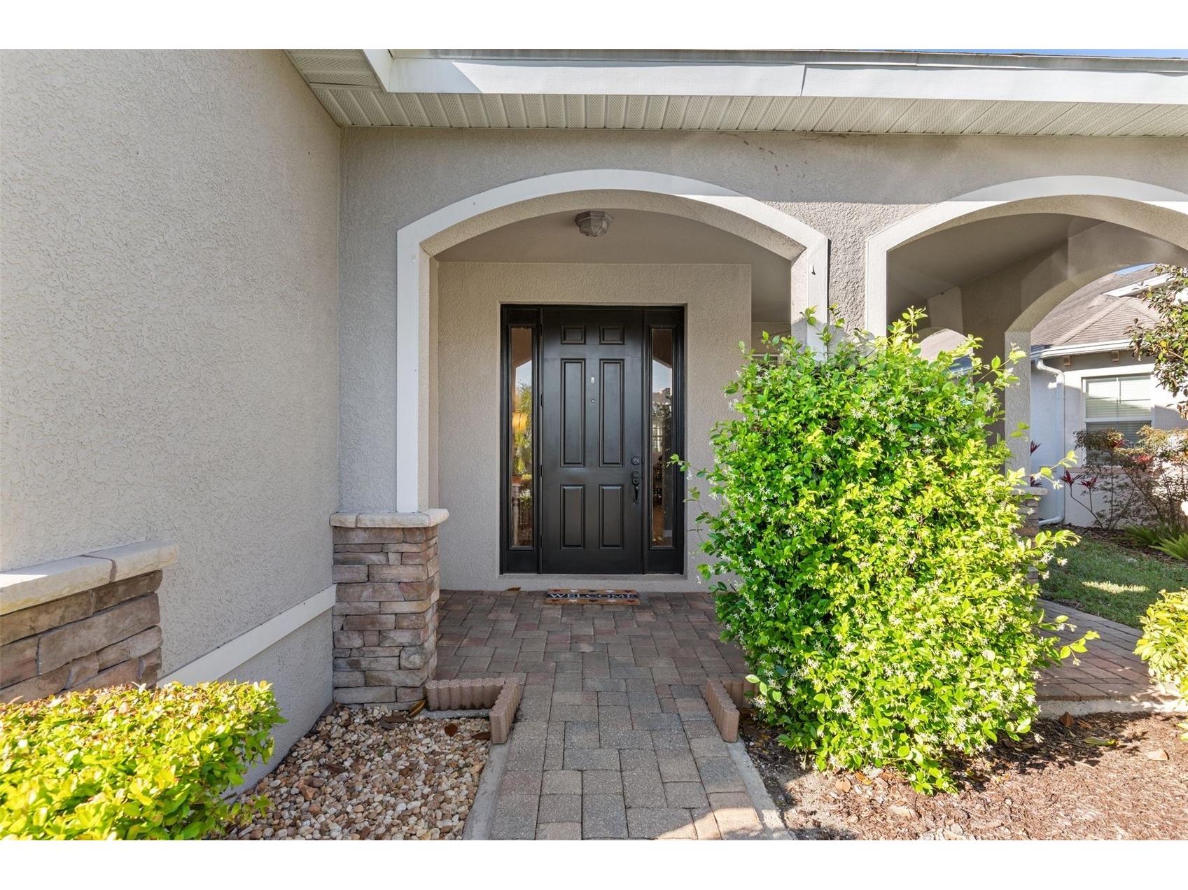 19419 Red Sky Court Land O Lakes FL 34638 TB8520281 image6