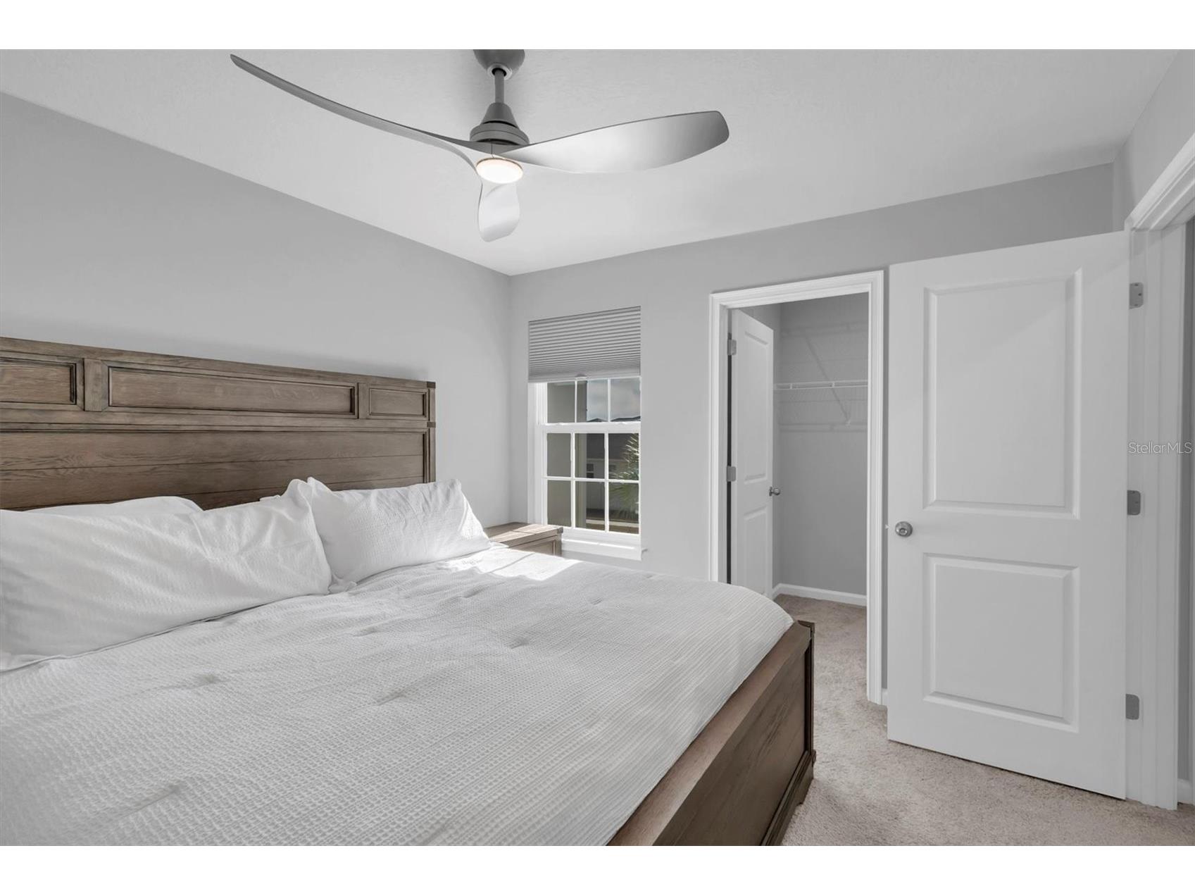 19421 Monarch Wind Way Lutz FL 33558 W7883052 image22