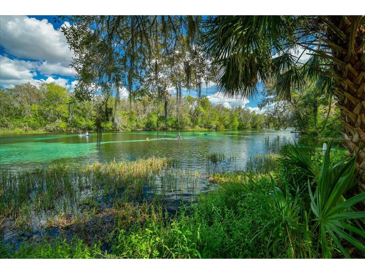 19423 SW 77th Loop Dunnellon FL 34432 OM725080 image45