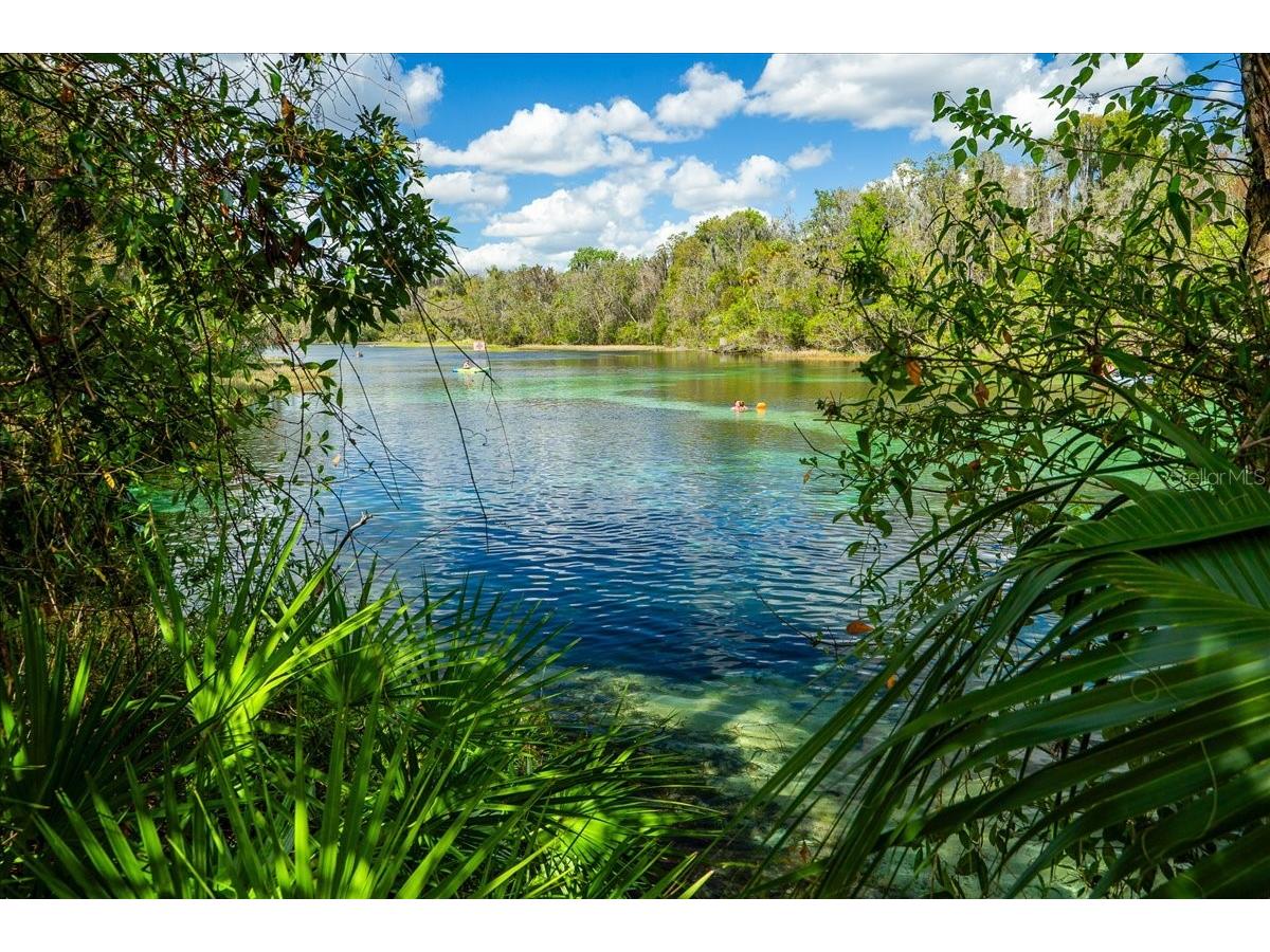 19423 SW 77th Loop Dunnellon FL 34432 OM725080 image46