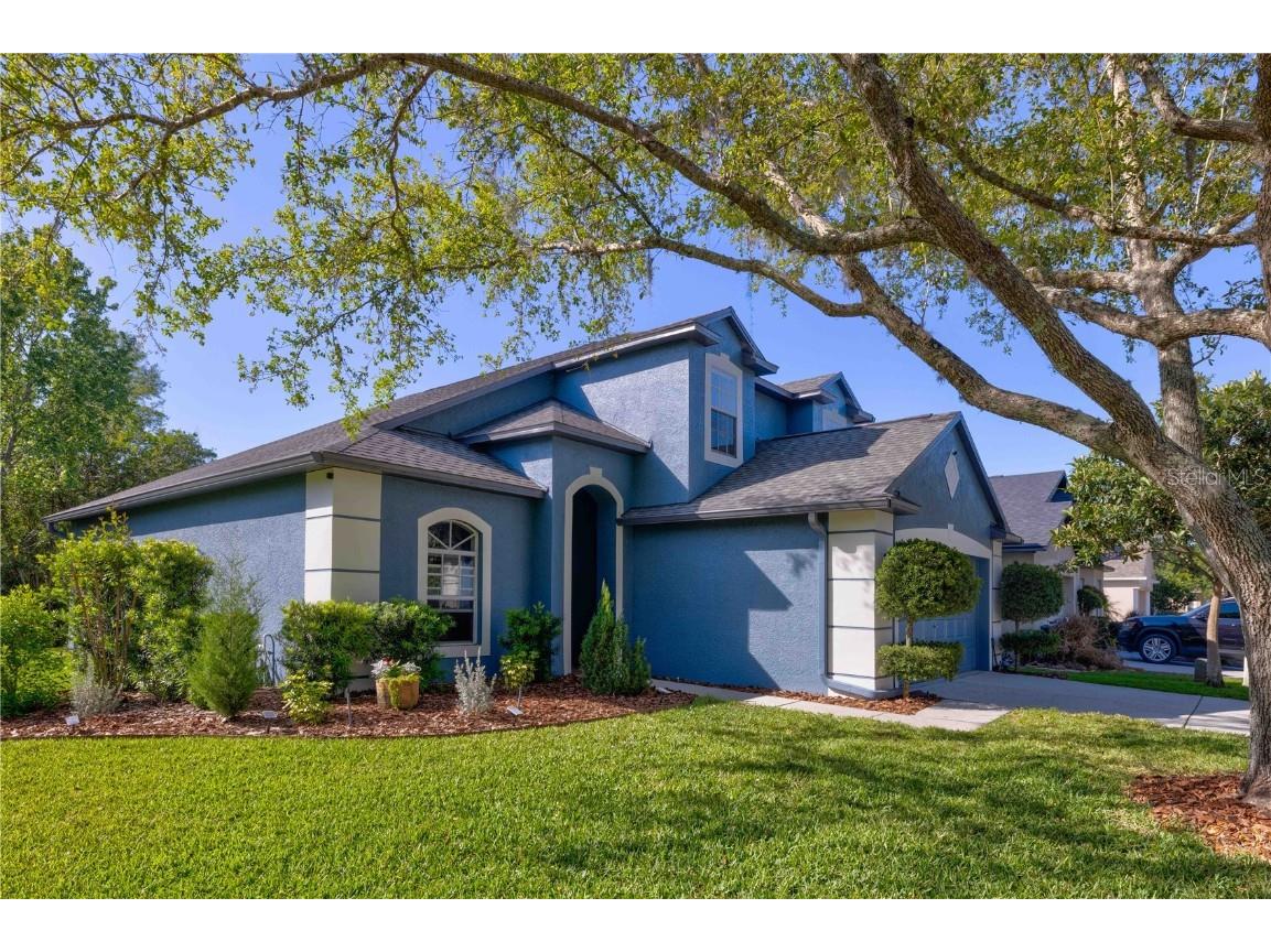 19424 Otter's Wick Way Land O Lakes FL 34638 T3435399 image1