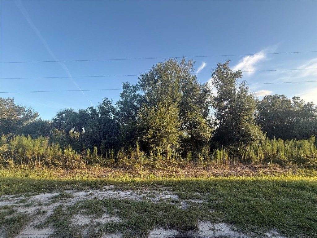 19426 NW 270th Street Okeechobee FL 34972 OK225457 image8