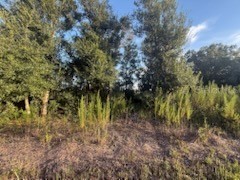 19426 NW 270th Street Okeechobee FL 34972 OK225457 image9