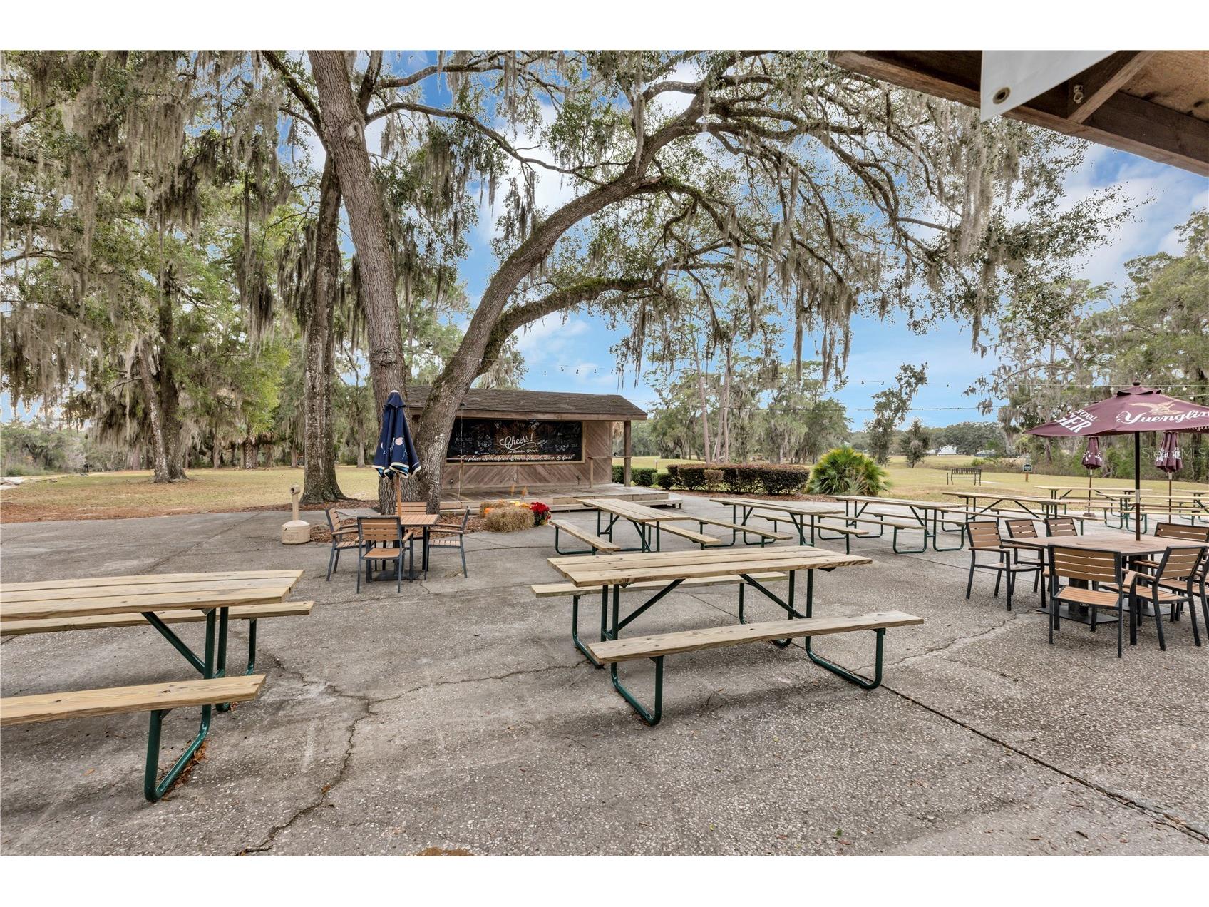 19426 SW 79th Street Dunnellon FL 34432 - RAINBOW RIVER G5106464 image27