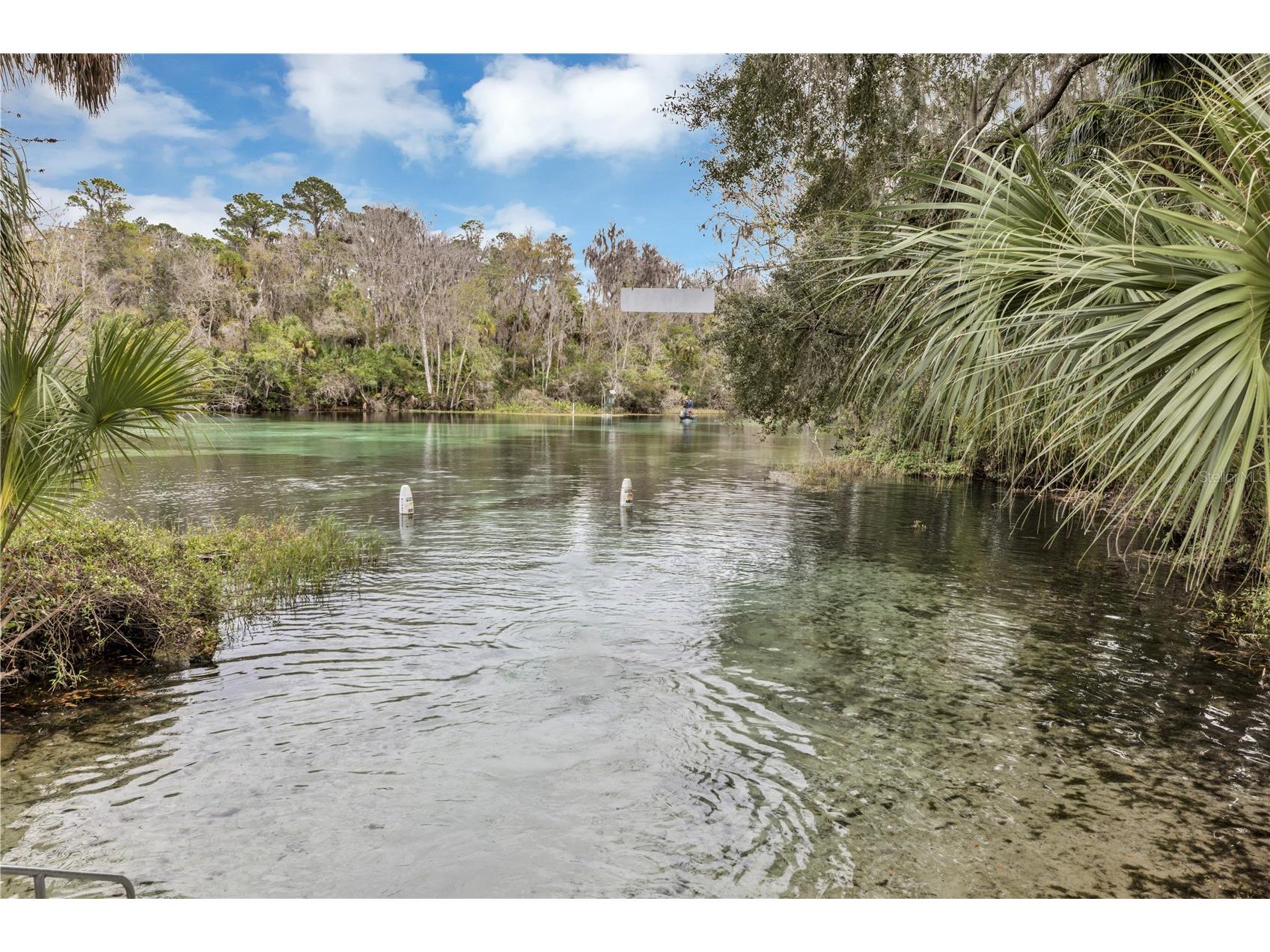 19426 SW 79th Street Dunnellon FL 34432 - RAINBOW RIVER G5106464 image29