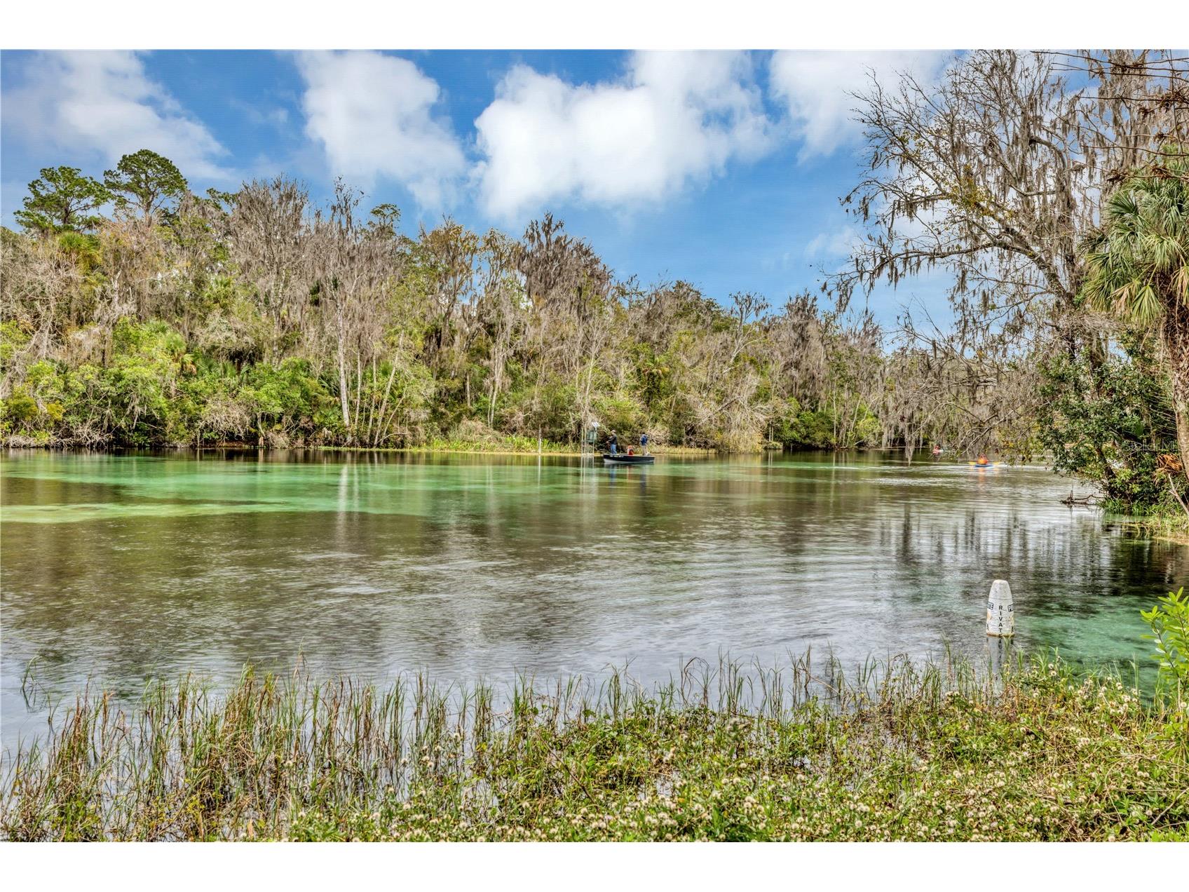 19426 SW 79th Street Dunnellon FL 34432 - RAINBOW RIVER G5106464 image31