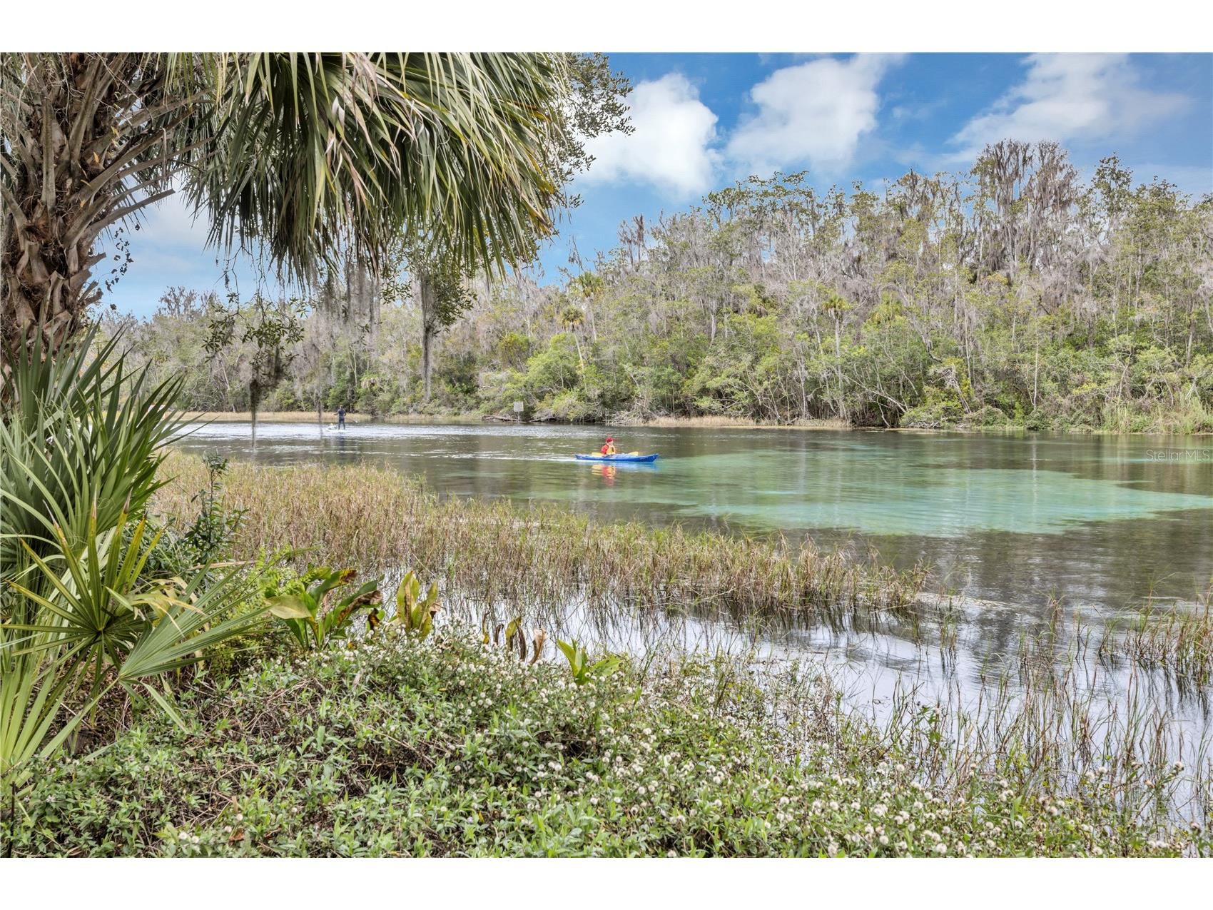 19426 SW 79th Street Dunnellon FL 34432 - RAINBOW RIVER G5106464 image32