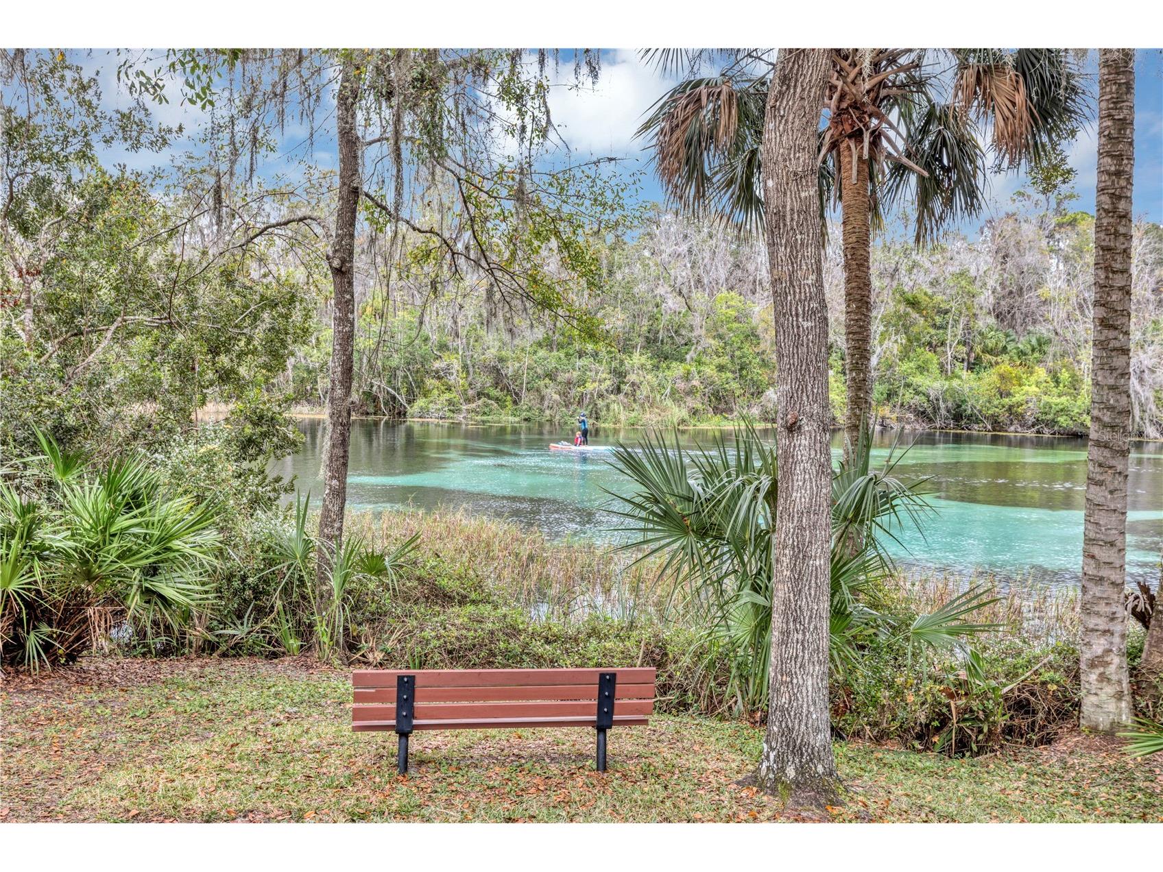 19426 SW 79th Street Dunnellon FL 34432 - RAINBOW RIVER G5106464 image34